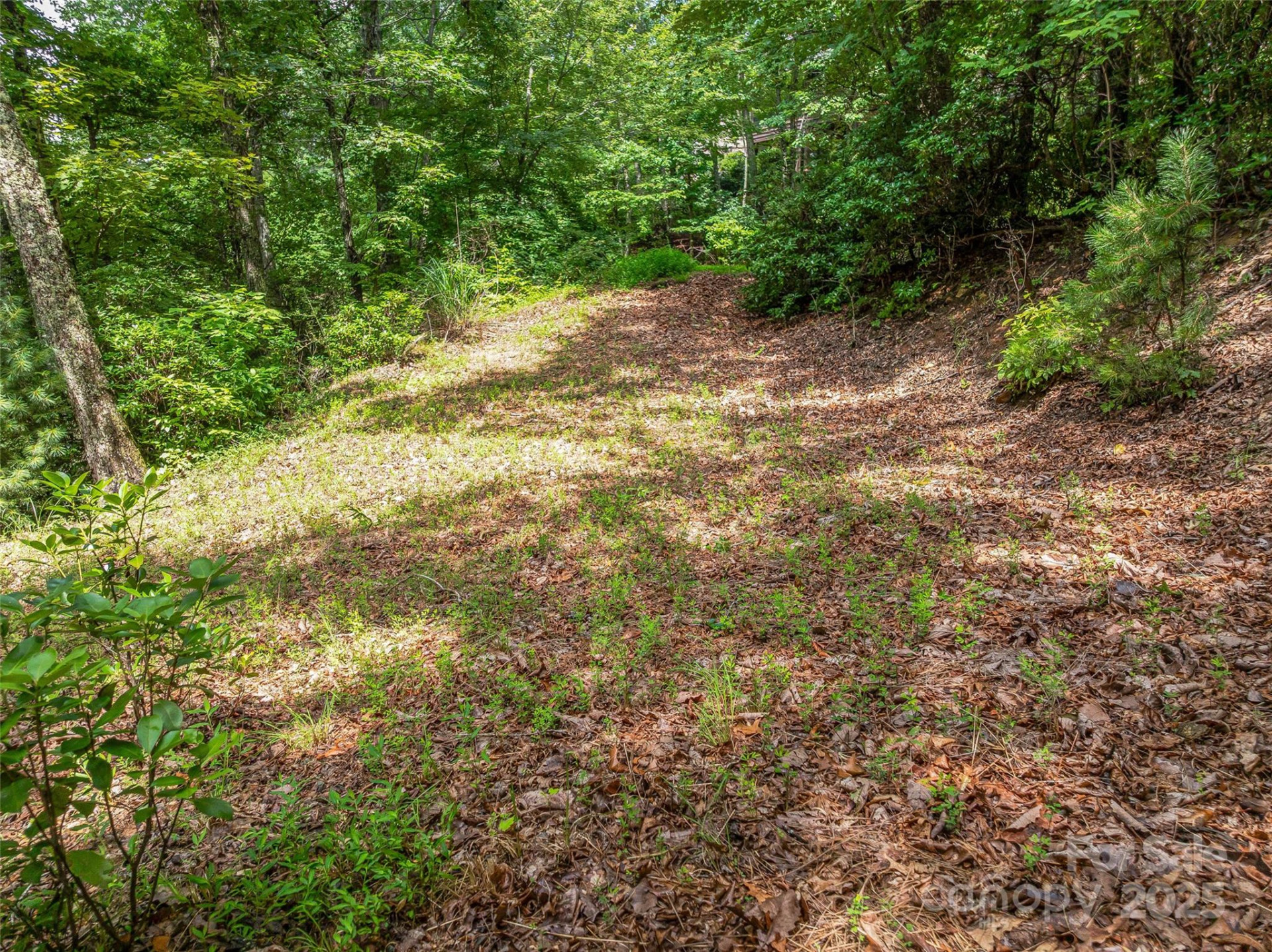 72 Smokey Ridge Trail #196 - Photo 22