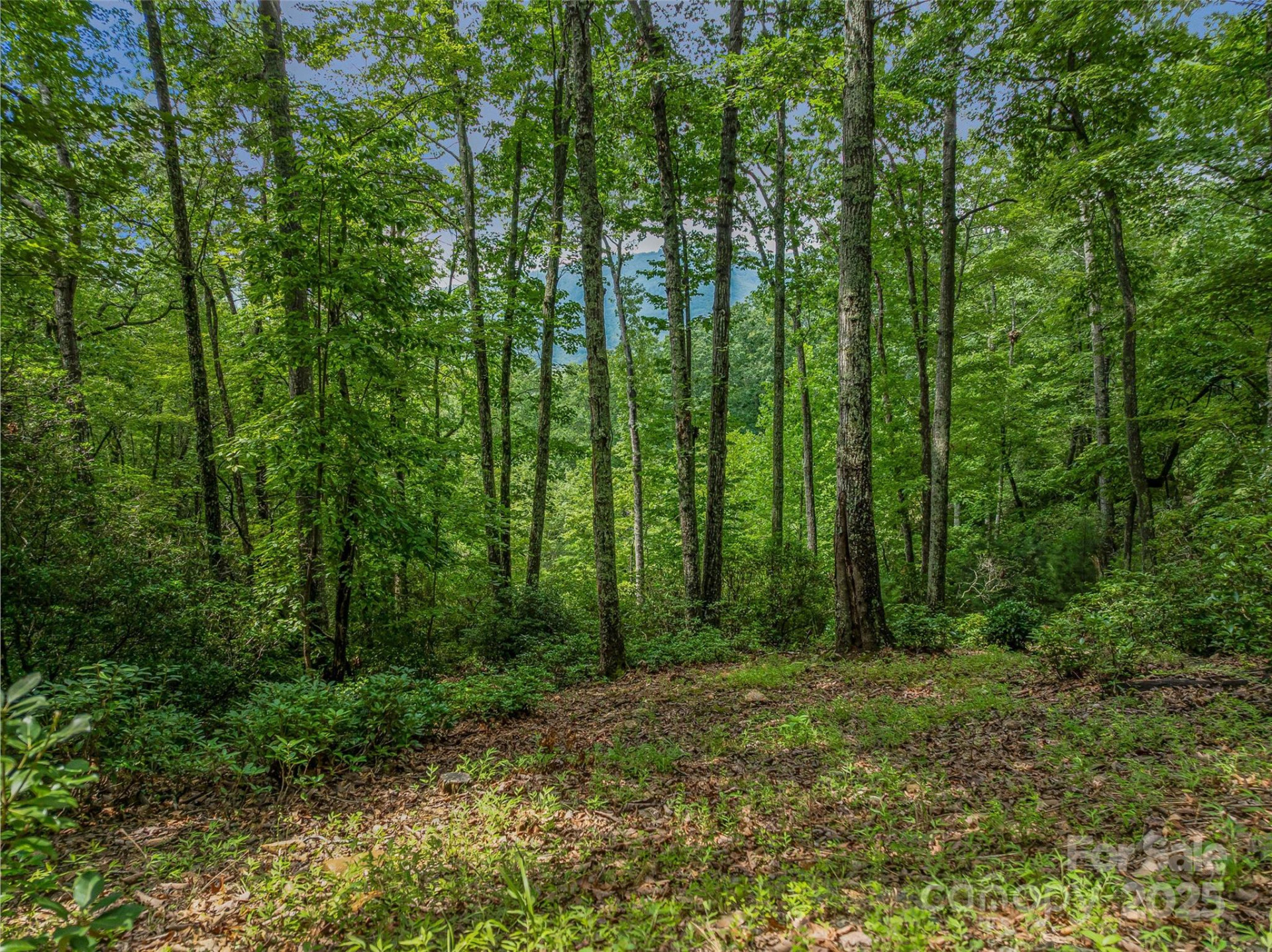 72 Smokey Ridge Trail #196 - Photo 24