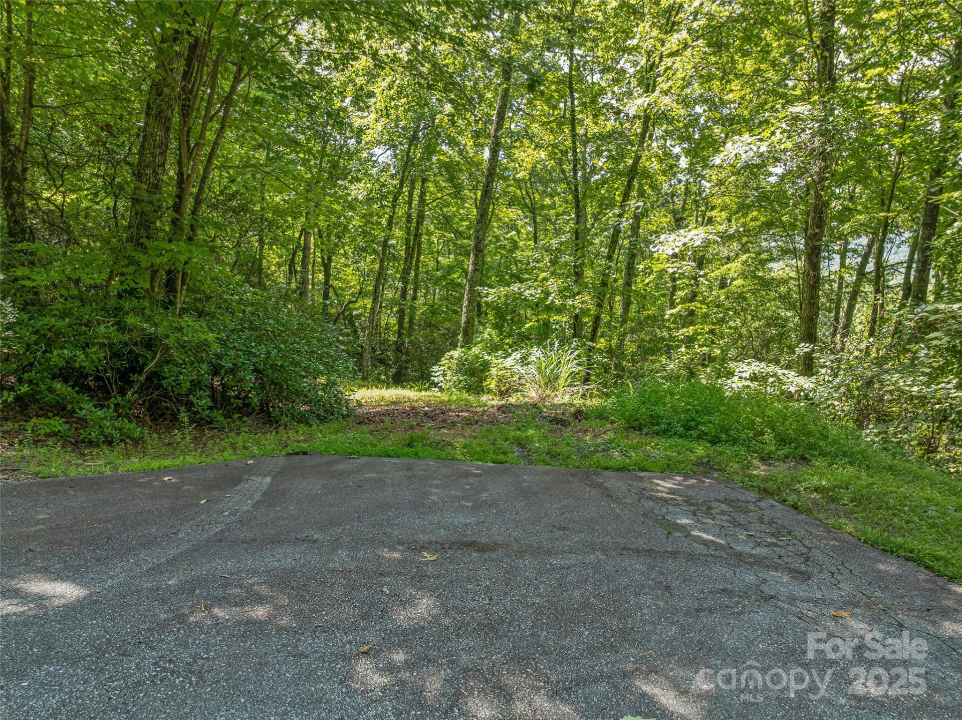 72 Smokey Ridge Trail #196 - Photo 25