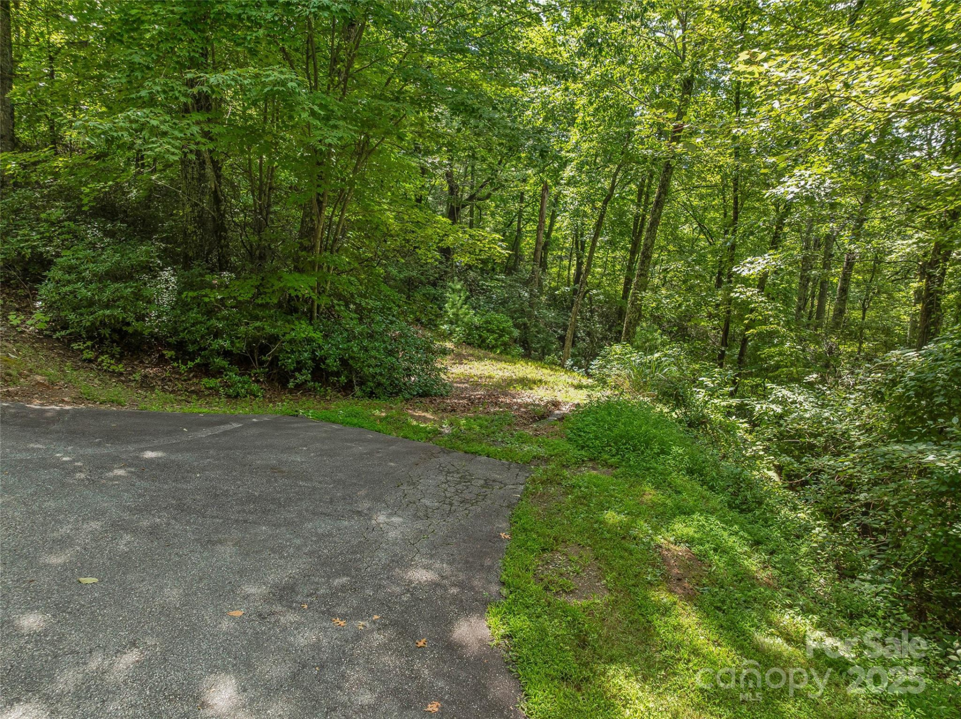 72 Smokey Ridge Trail #196 - Photo 26