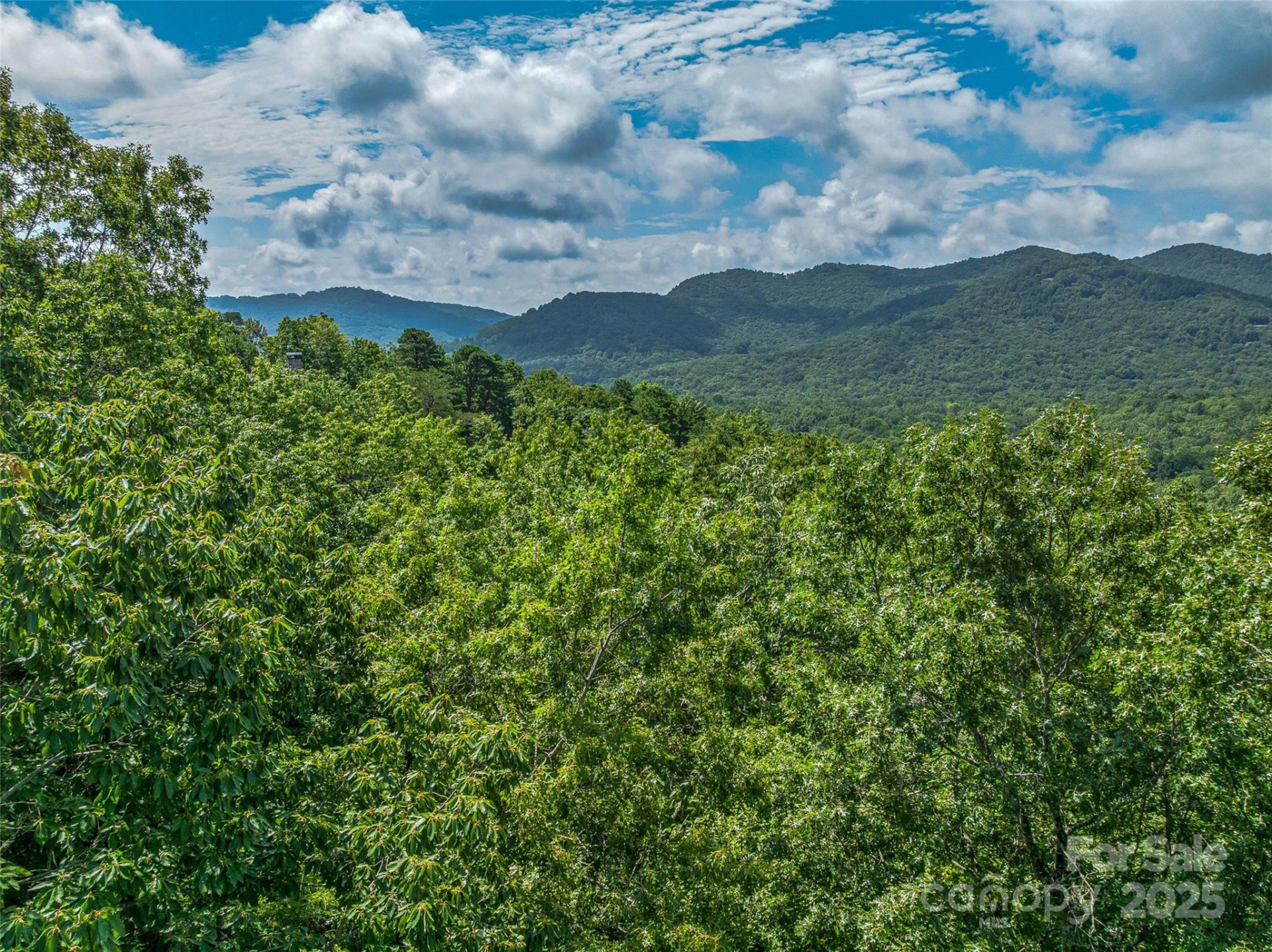 72 Smokey Ridge Trail #196 - Photo 8