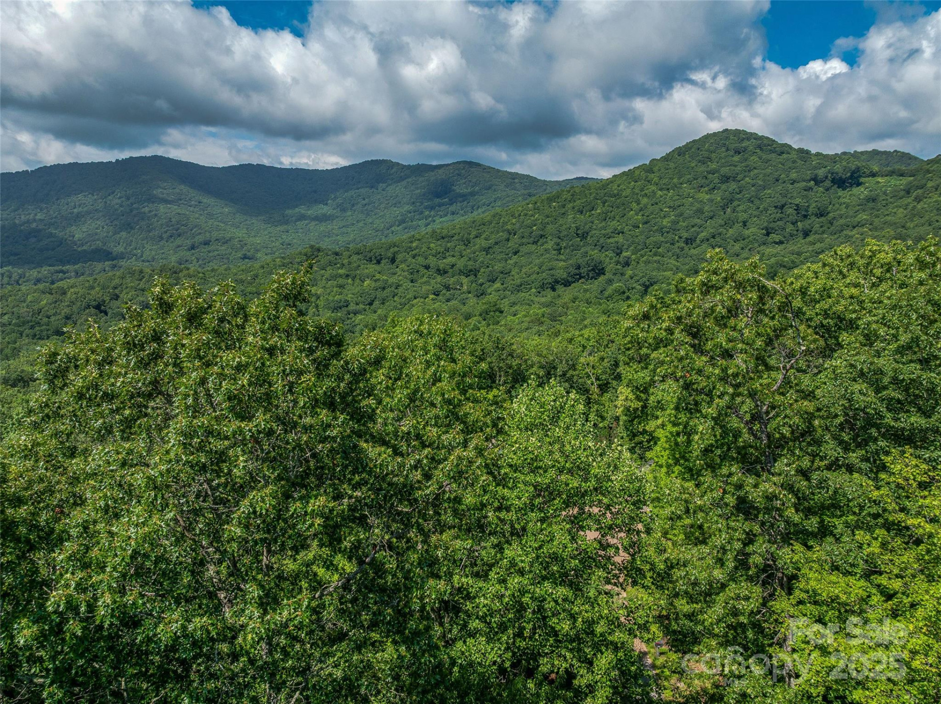 72 Smokey Ridge Trail #196 - Photo 9