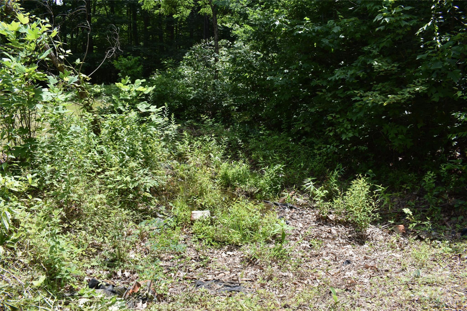 50 Firefly Springs Lane - Photo 19