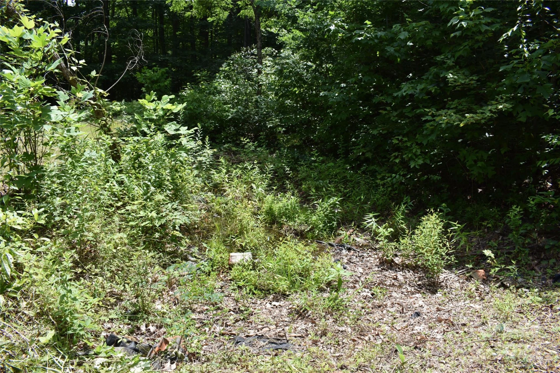 50 Firefly Springs Lane - Photo 19