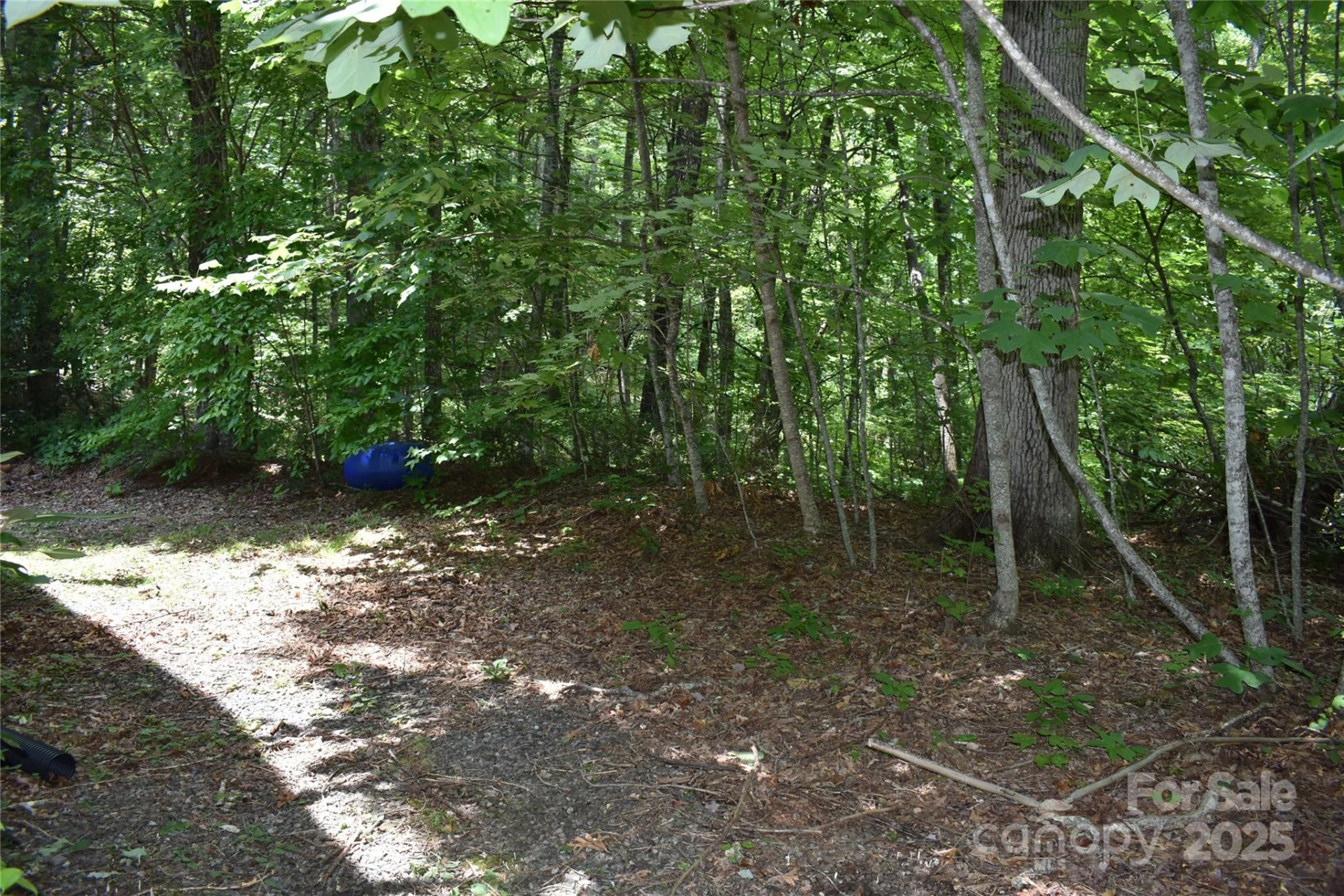 50 Firefly Springs Lane - Photo 23