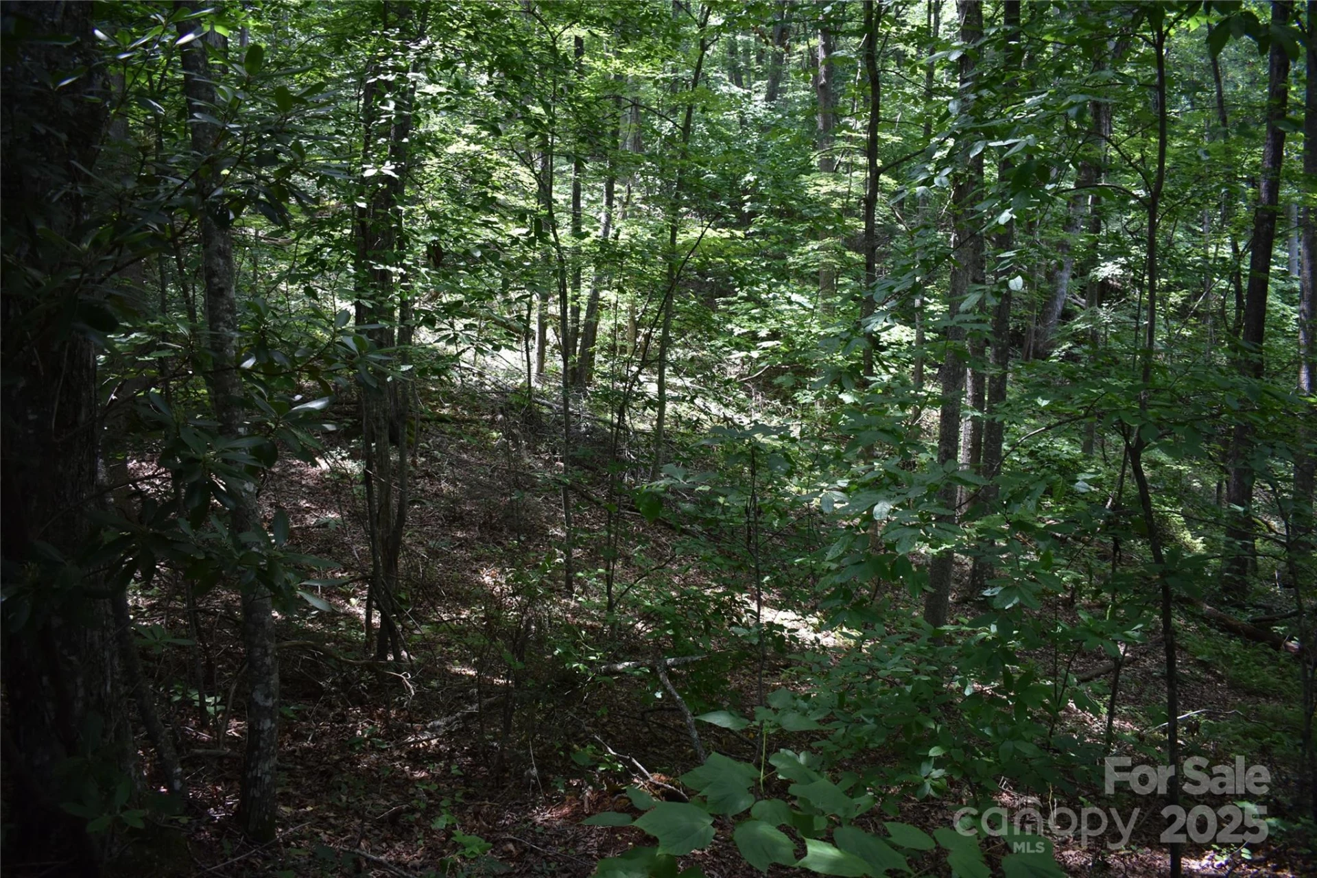50 Firefly Springs Lane - Photo 25