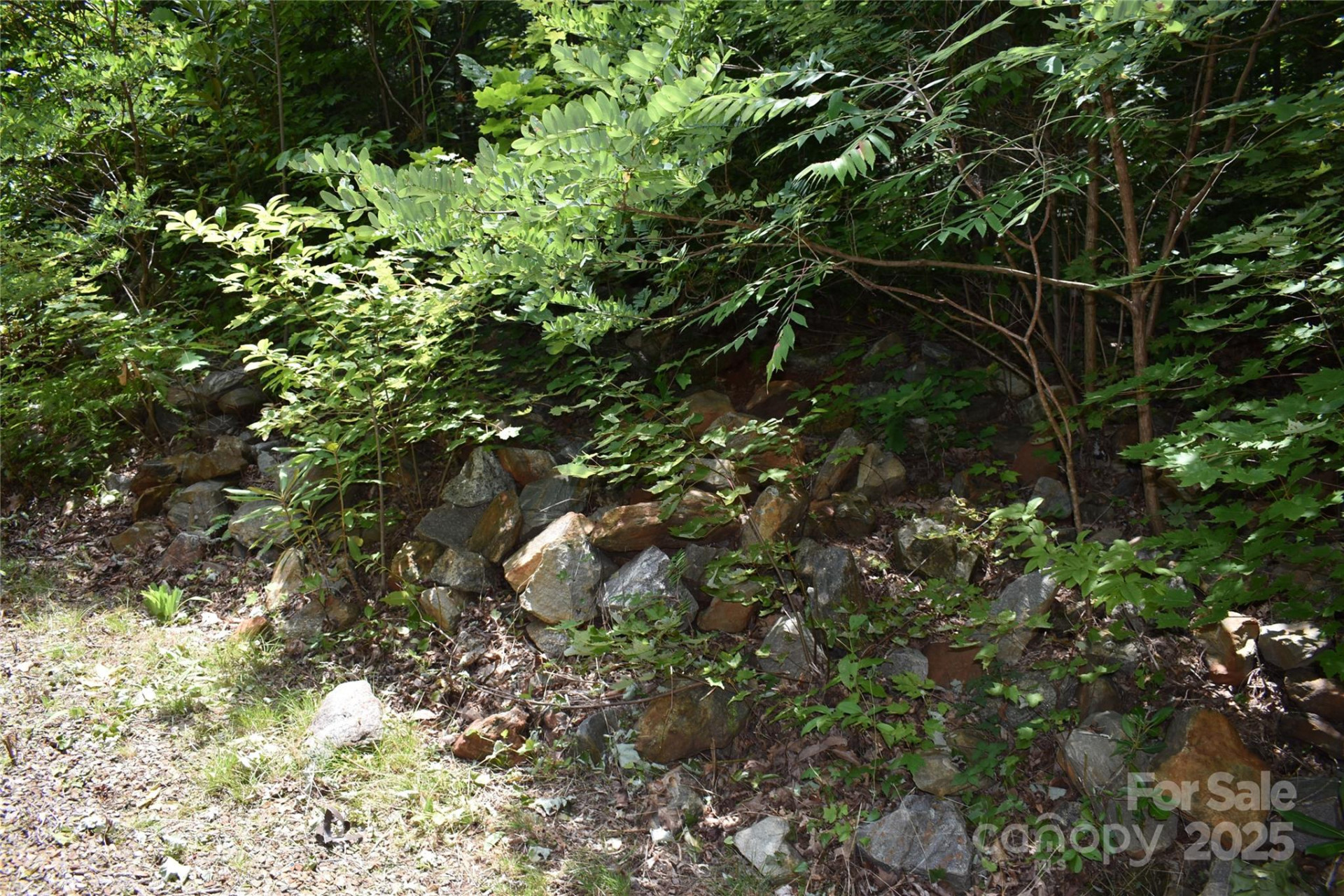 50 Firefly Springs Lane - Photo 31