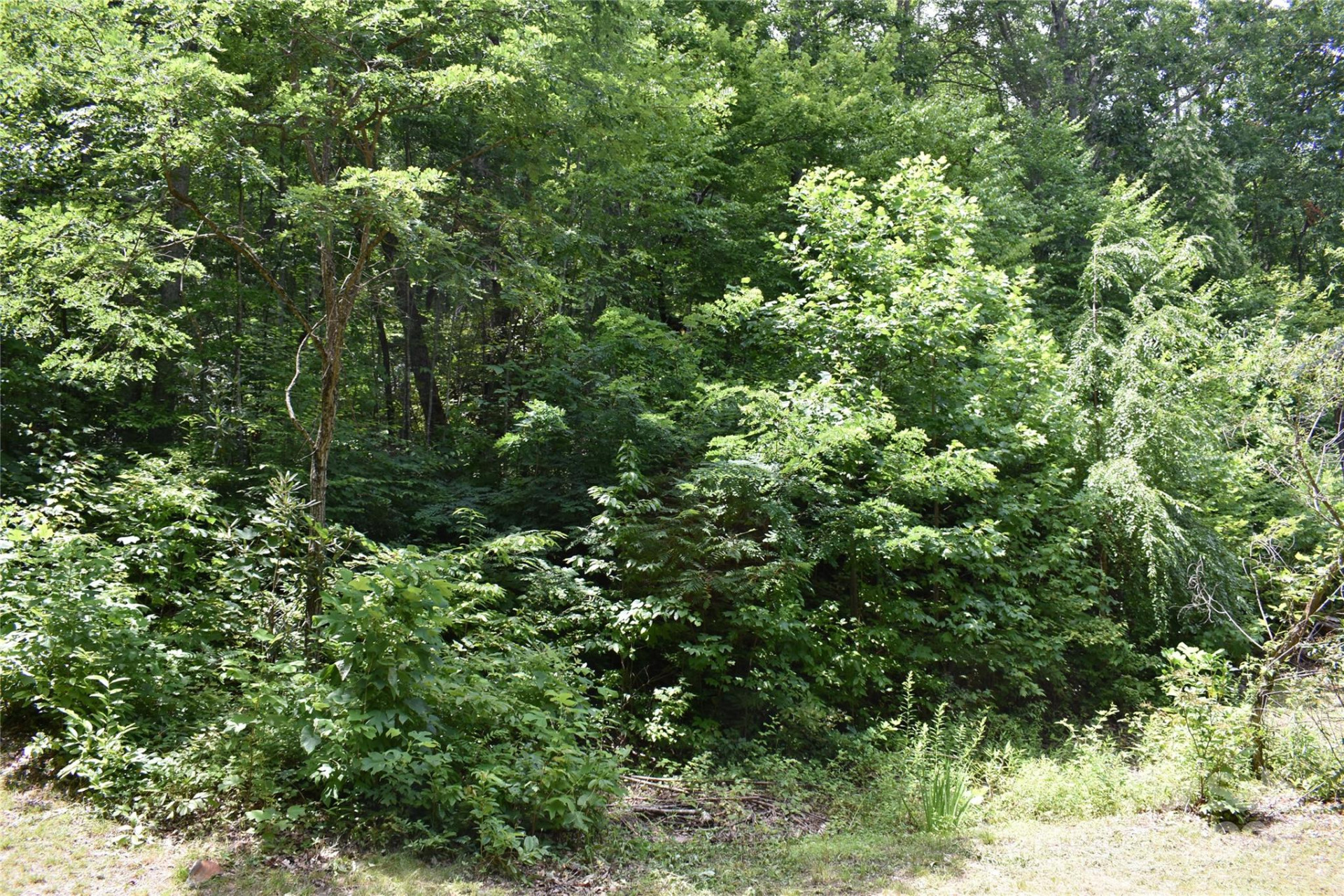 50 Firefly Springs Lane - Photo 36