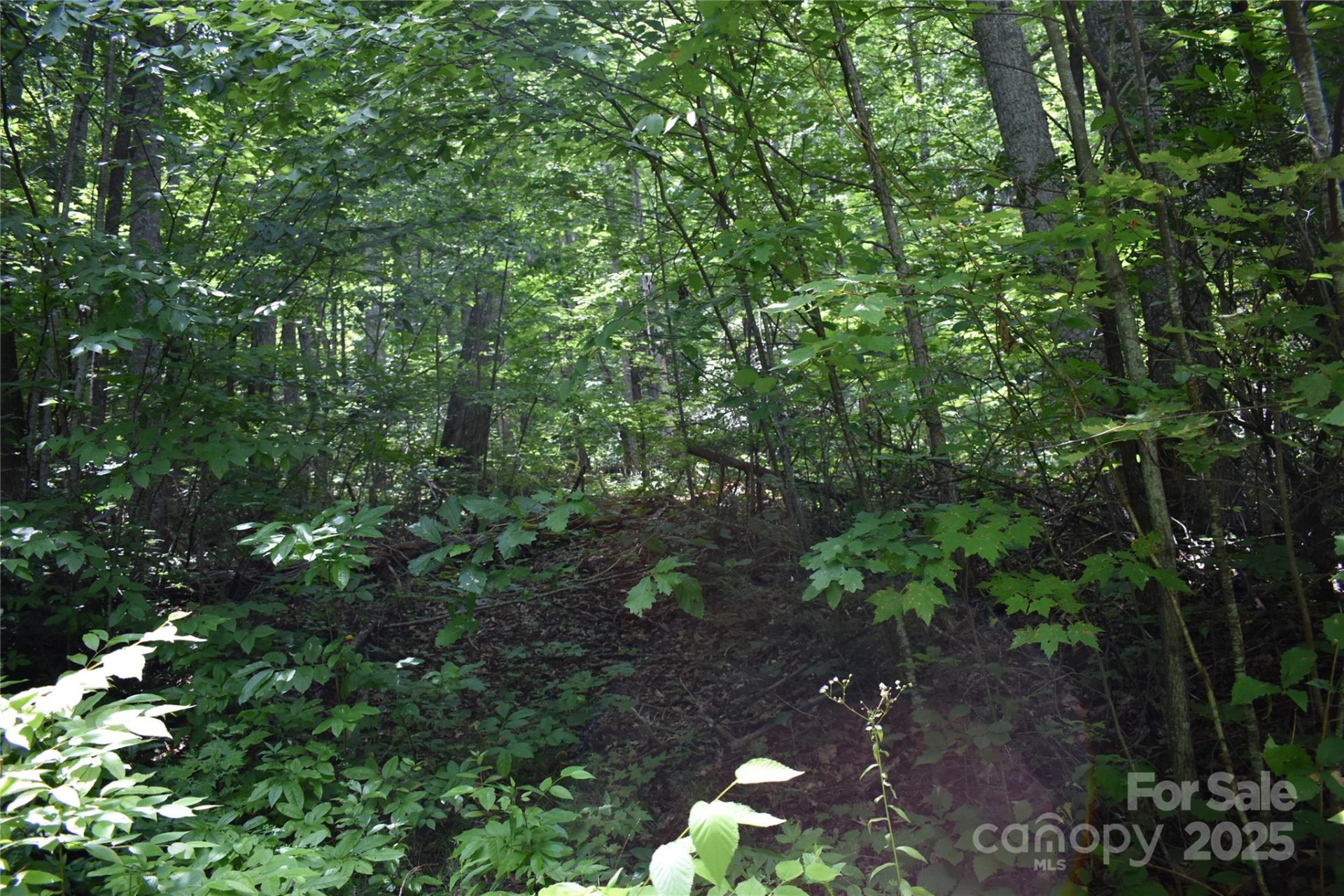 50 Firefly Springs Lane - Photo 37