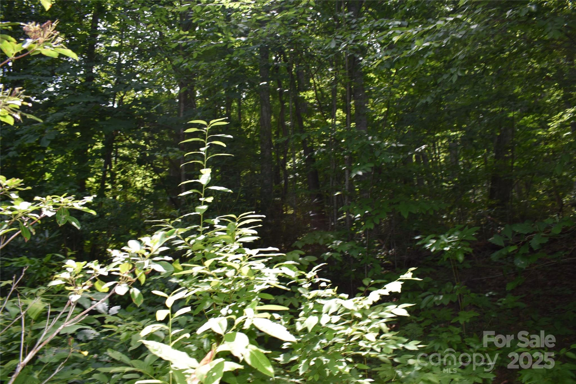 50 Firefly Springs Lane - Photo 38