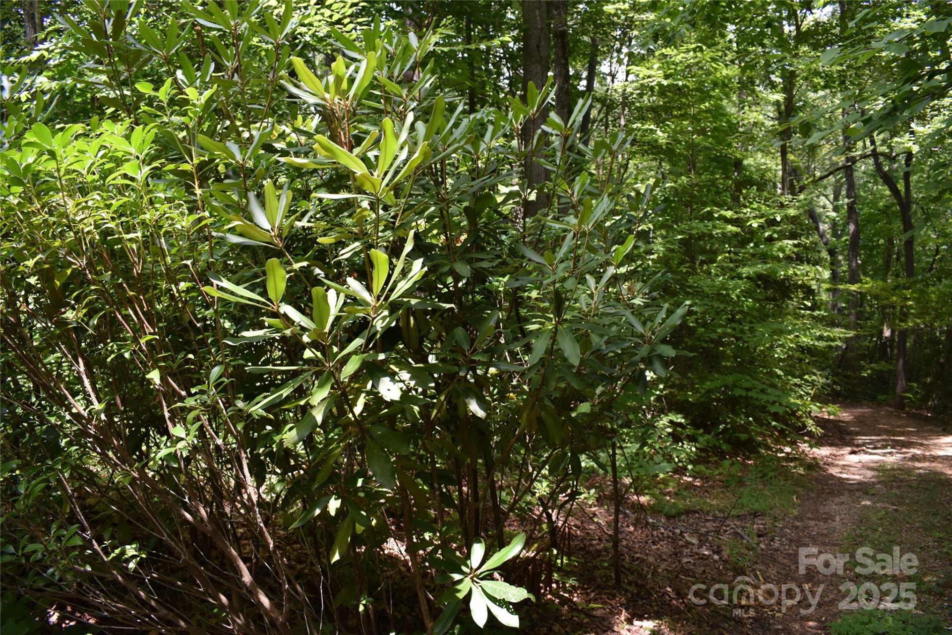 50 Firefly Springs Lane - Photo 40