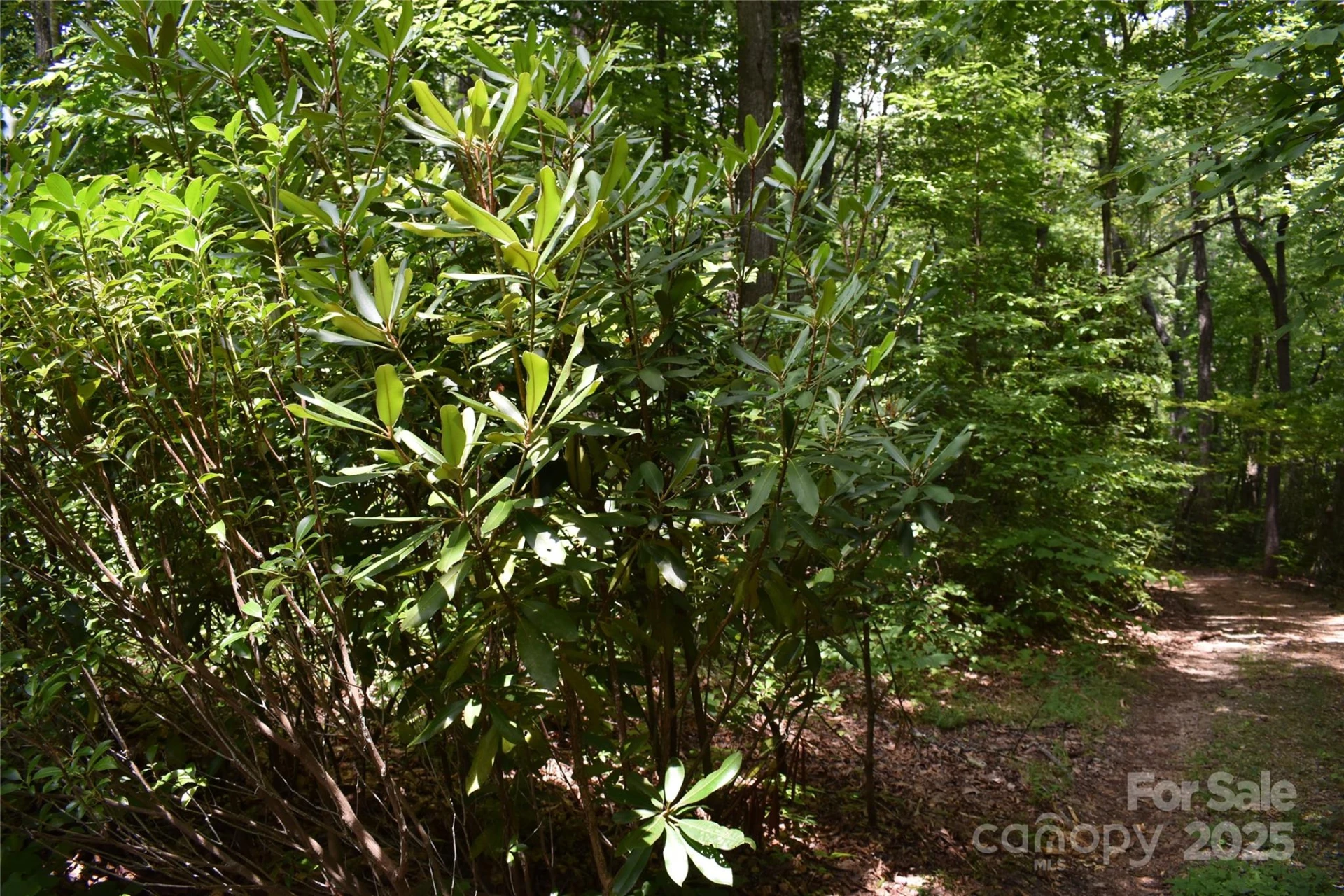 50 Firefly Springs Lane - Photo 40