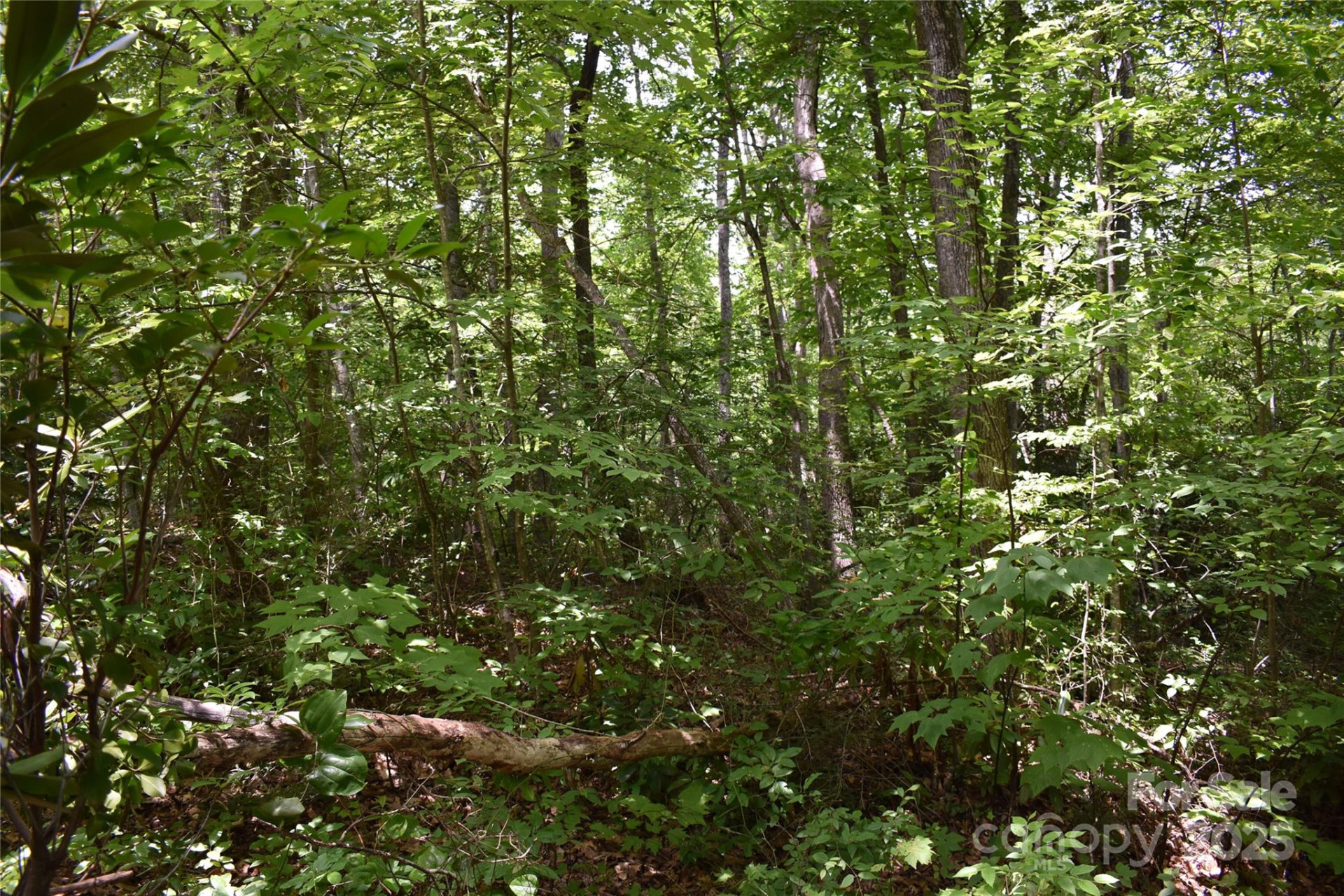 50 Firefly Springs Lane - Photo 42