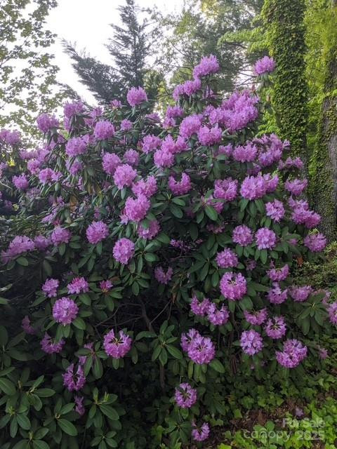 2491 Watts Street - Photo 13