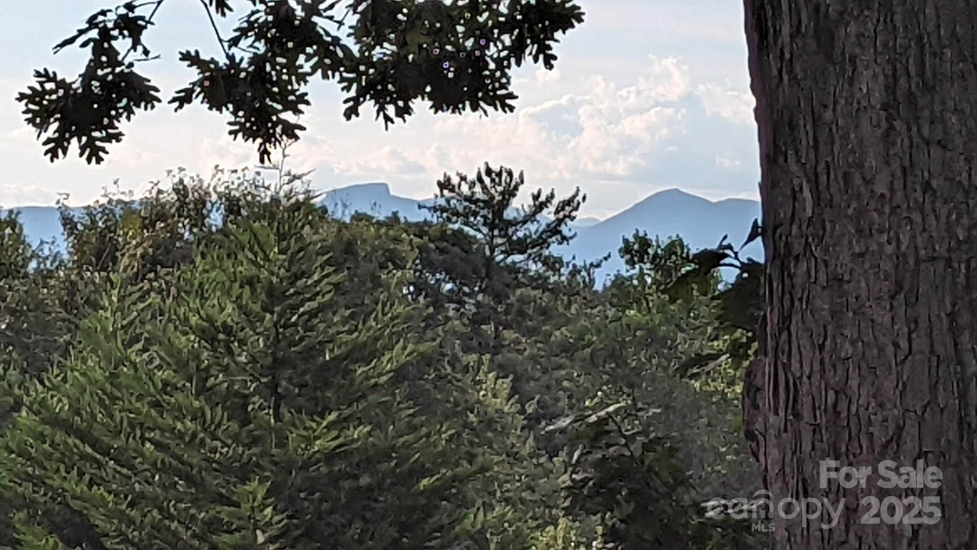 2491 Watts Street - Photo 14