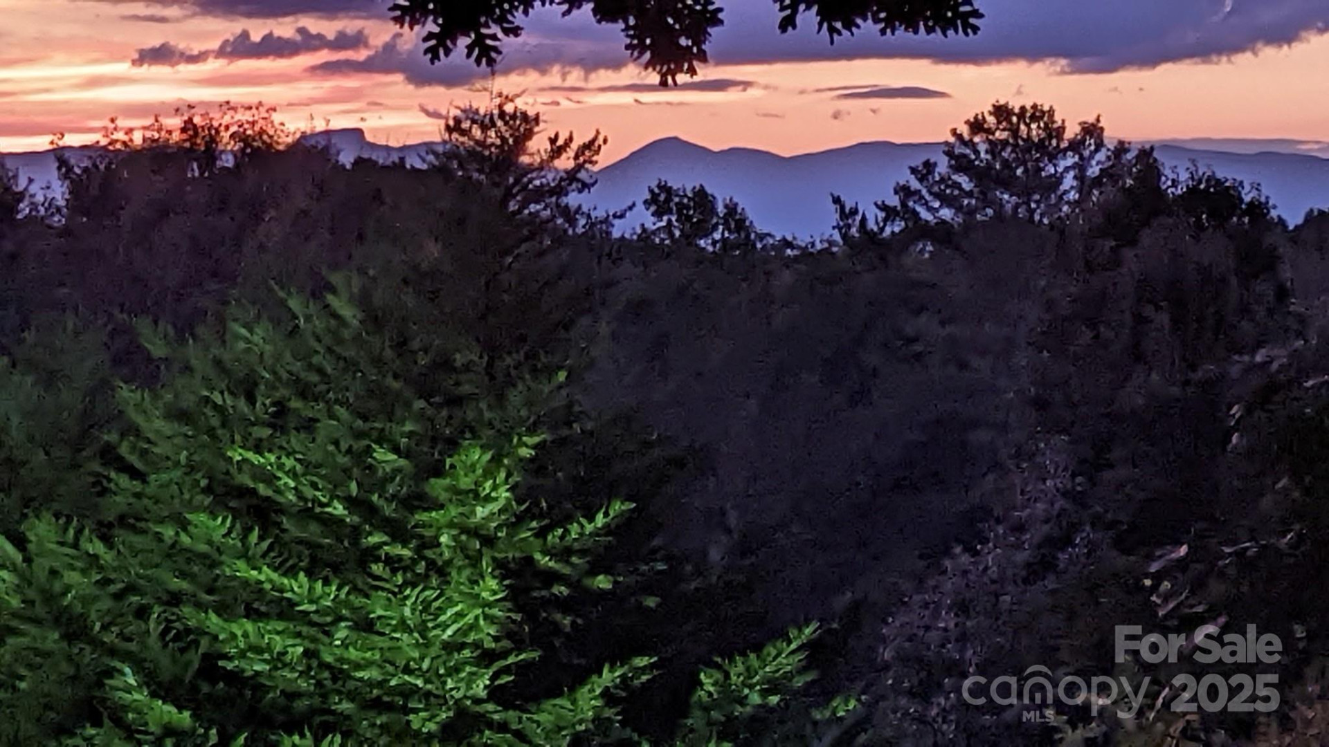 2491 Watts Street - Photo 15