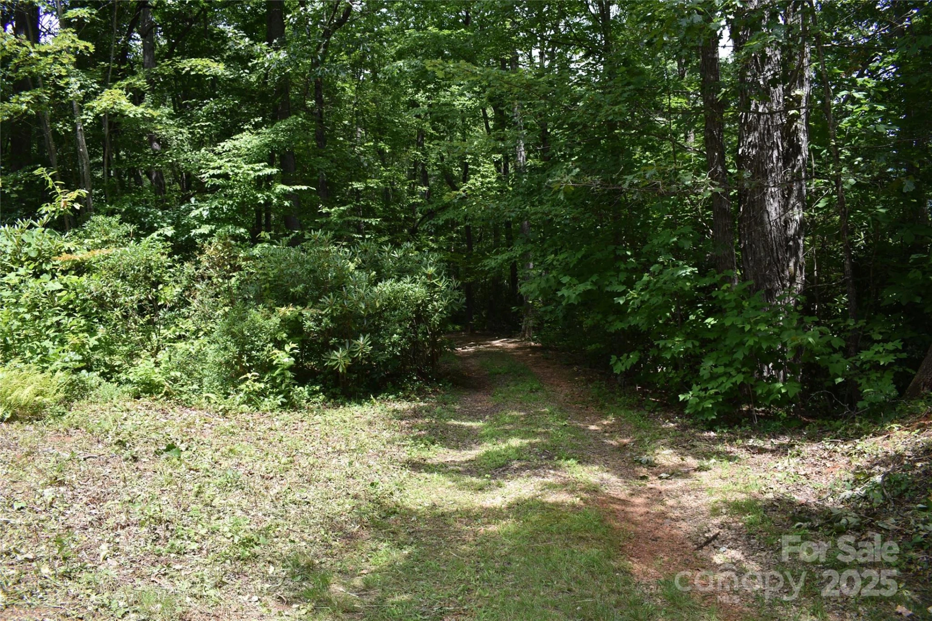 50 Firefly Springs Lane - Photo 21