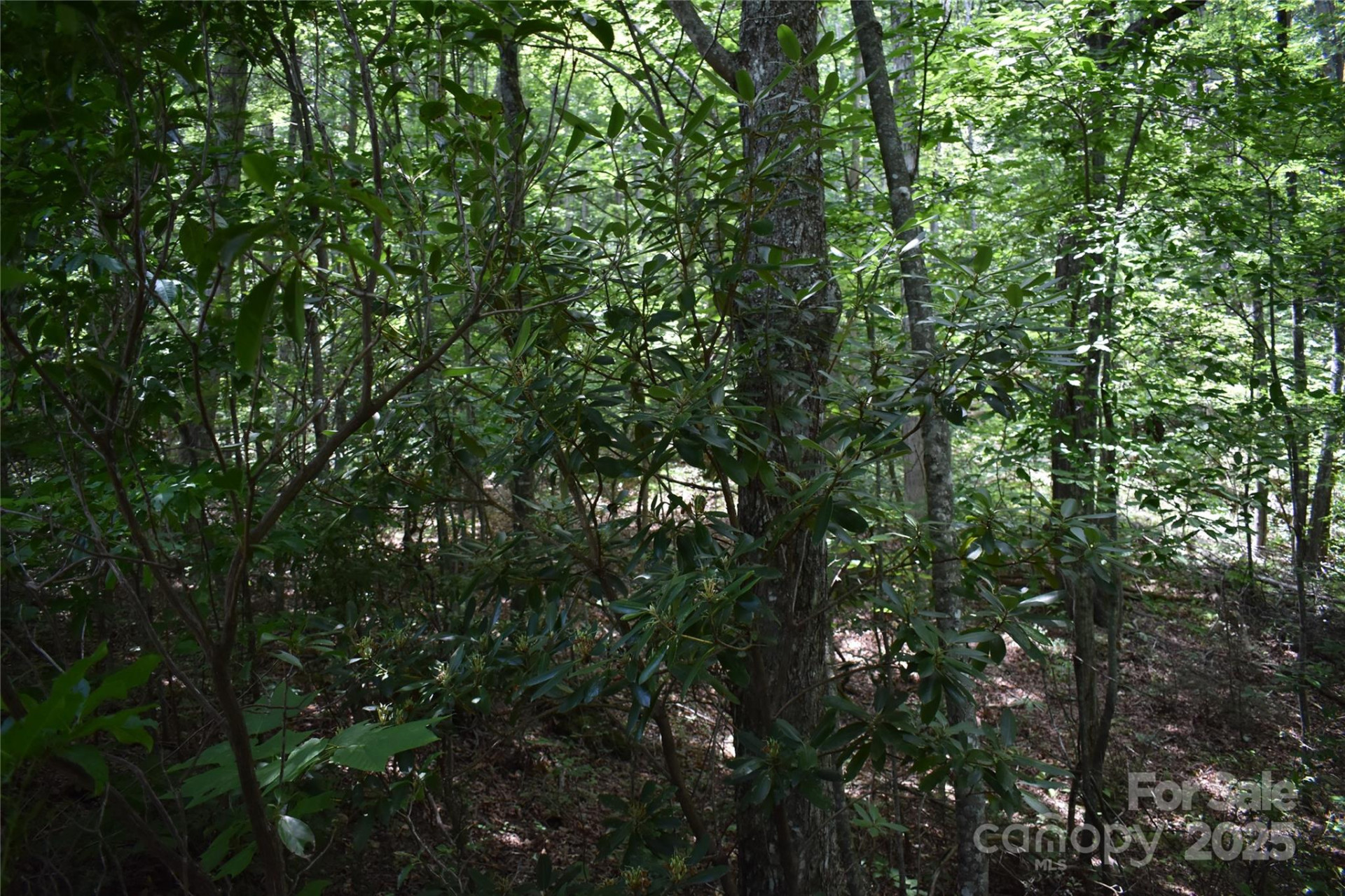 50 Firefly Springs Lane - Photo 27