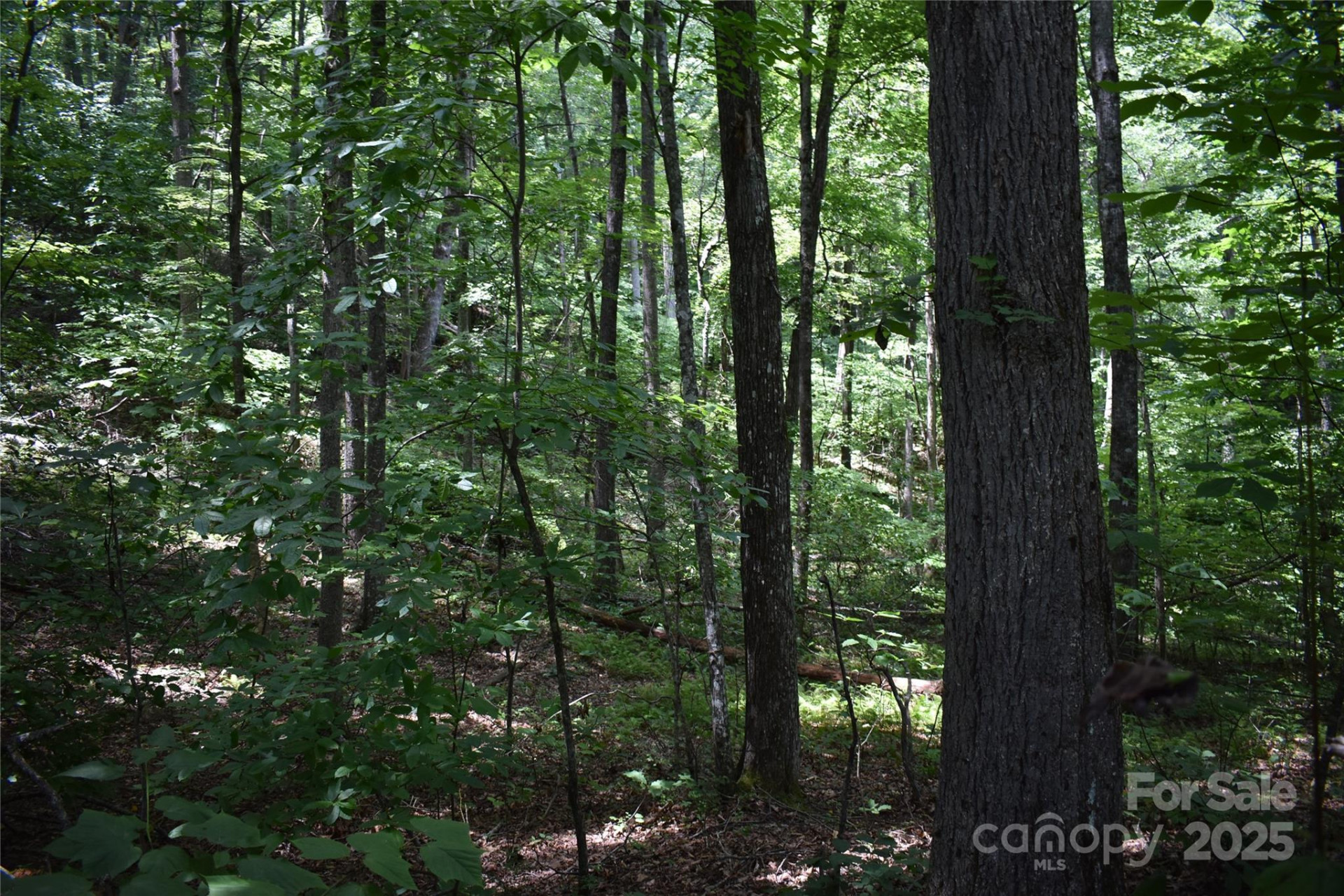 50 Firefly Springs Lane - Photo 28