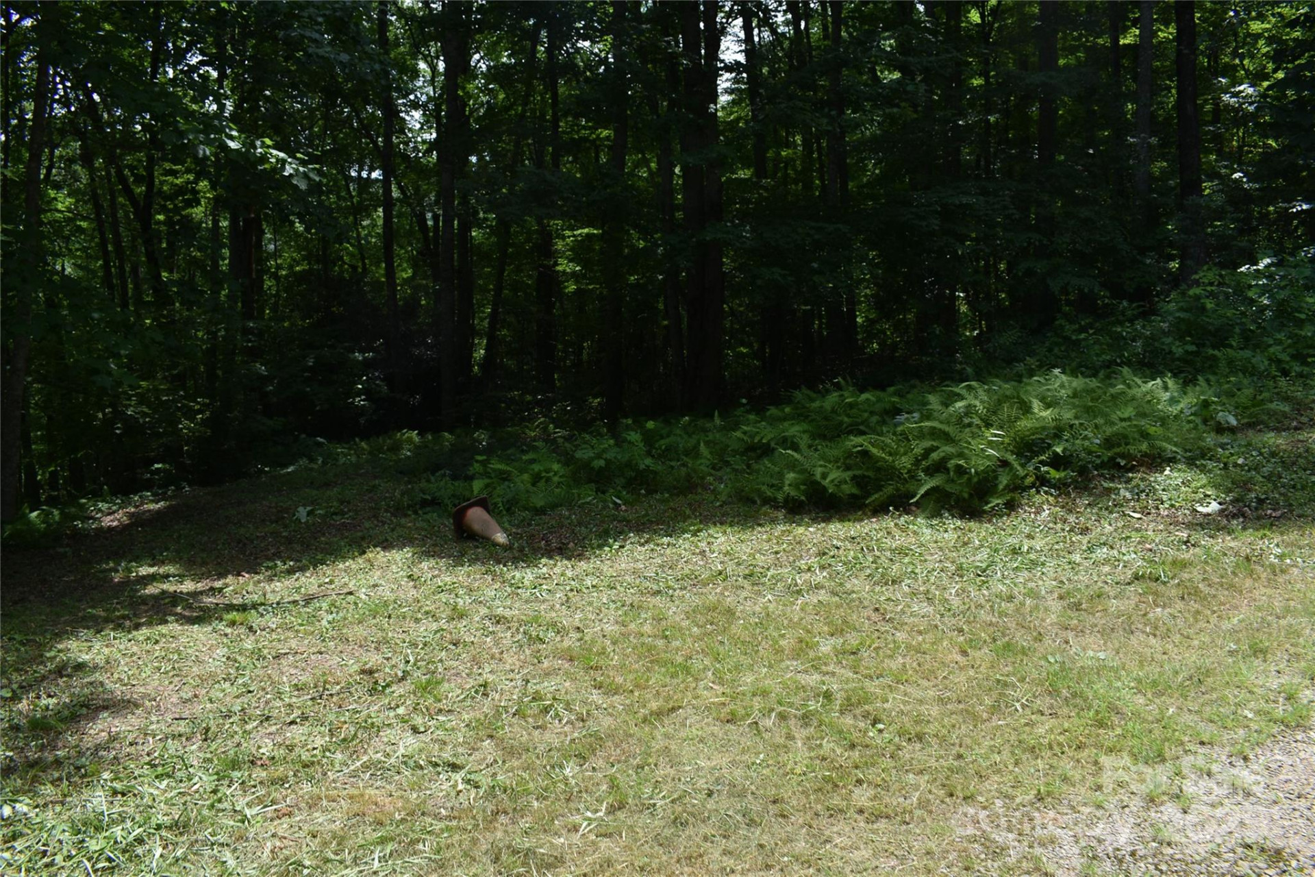 50 Firefly Springs Lane - Photo 33