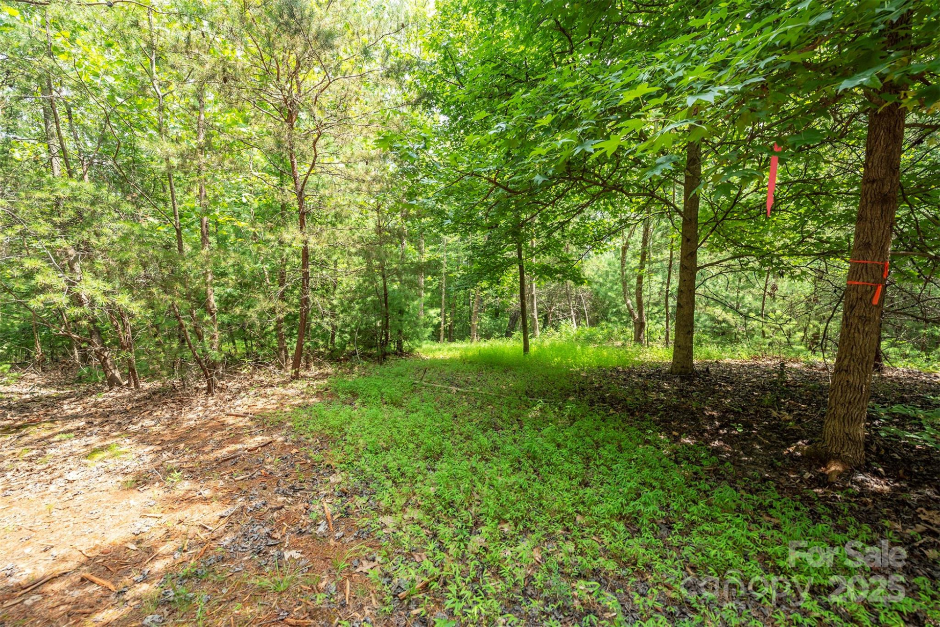 LOT 46 Black Forest Drive - Photo 2