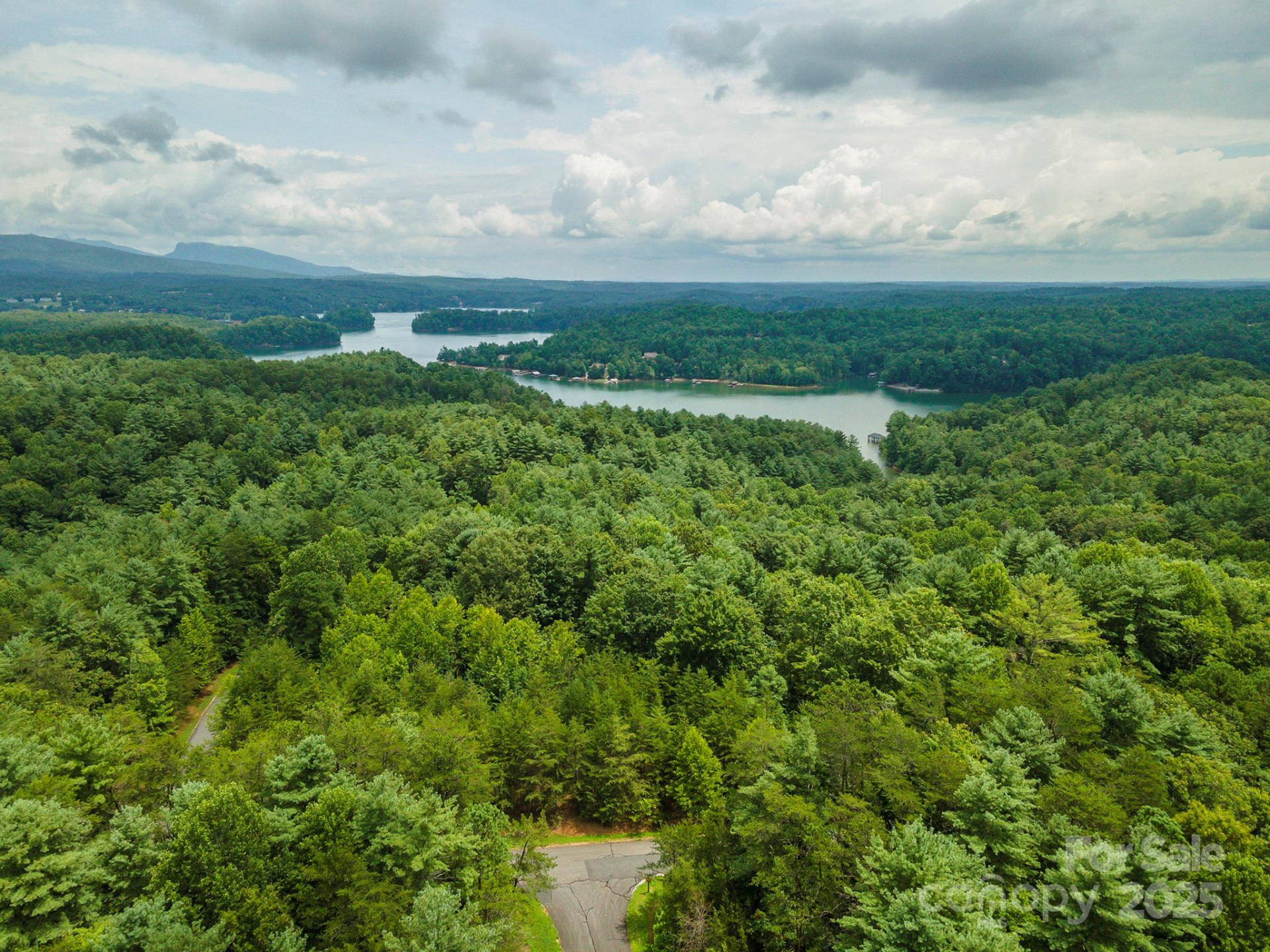 LOT 46 Black Forest Drive - Photo 12