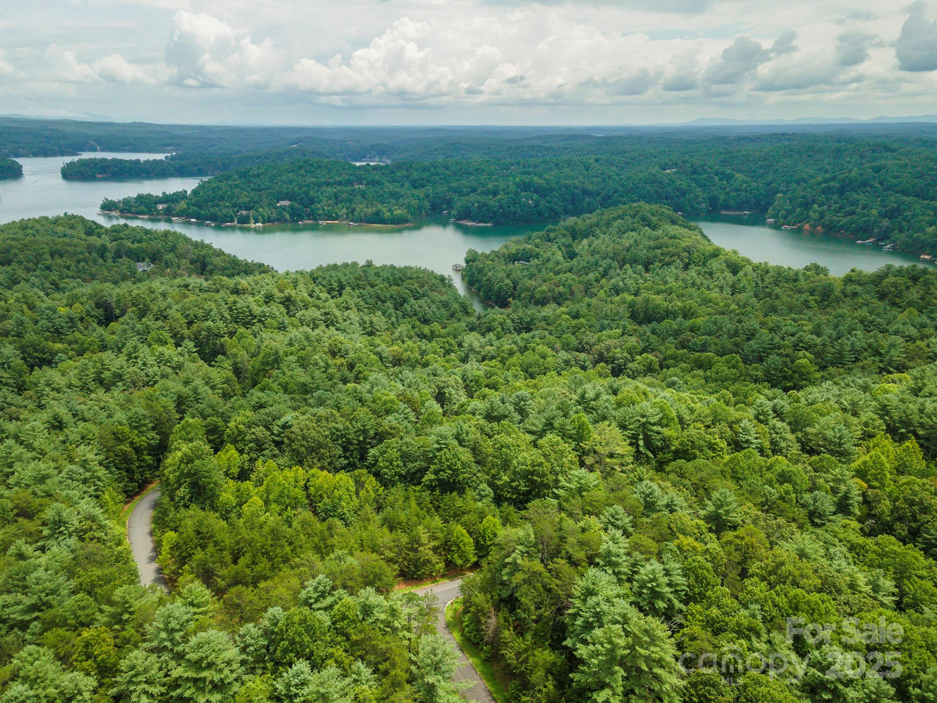 LOT 46 Black Forest Drive - Photo 13