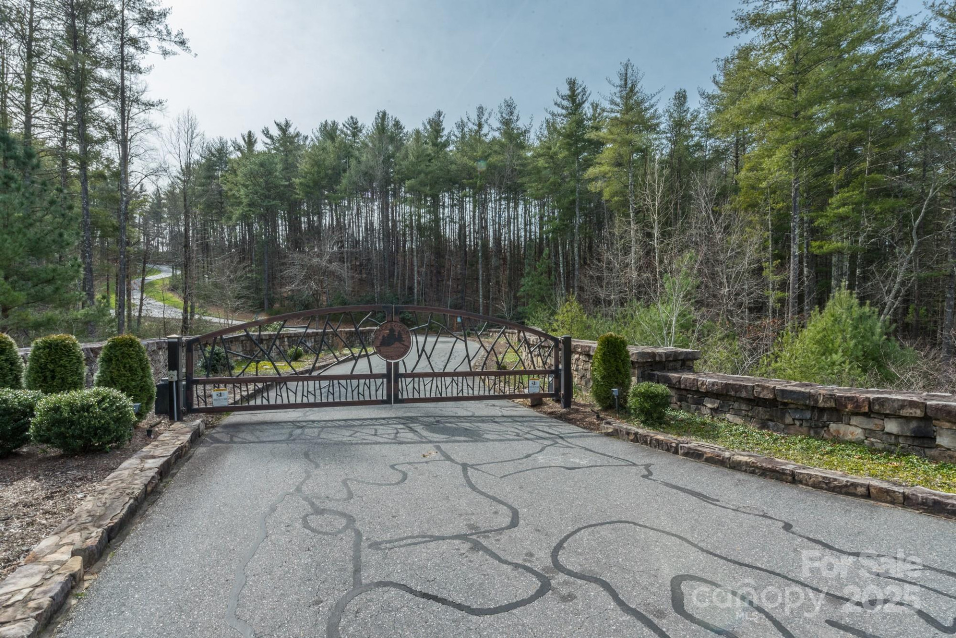 LOT 46 Black Forest Drive - Photo 14