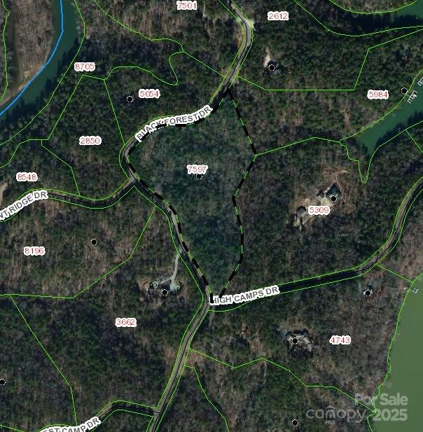 LOT 46 Black Forest Drive - Photo 5