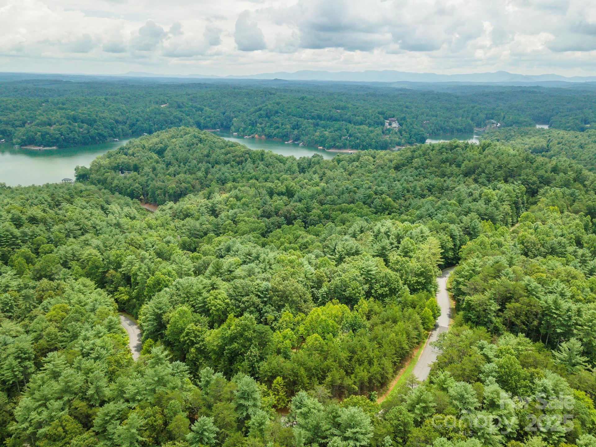 LOT 46 Black Forest Drive - Photo 6