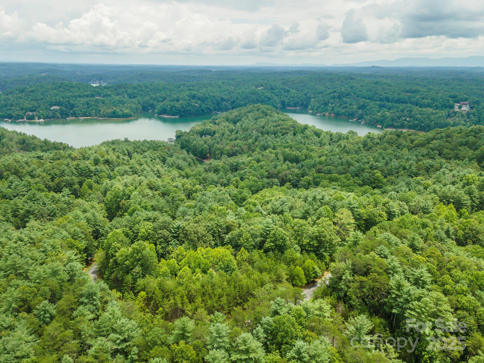 LOT 46 Black Forest Drive - Photo 7