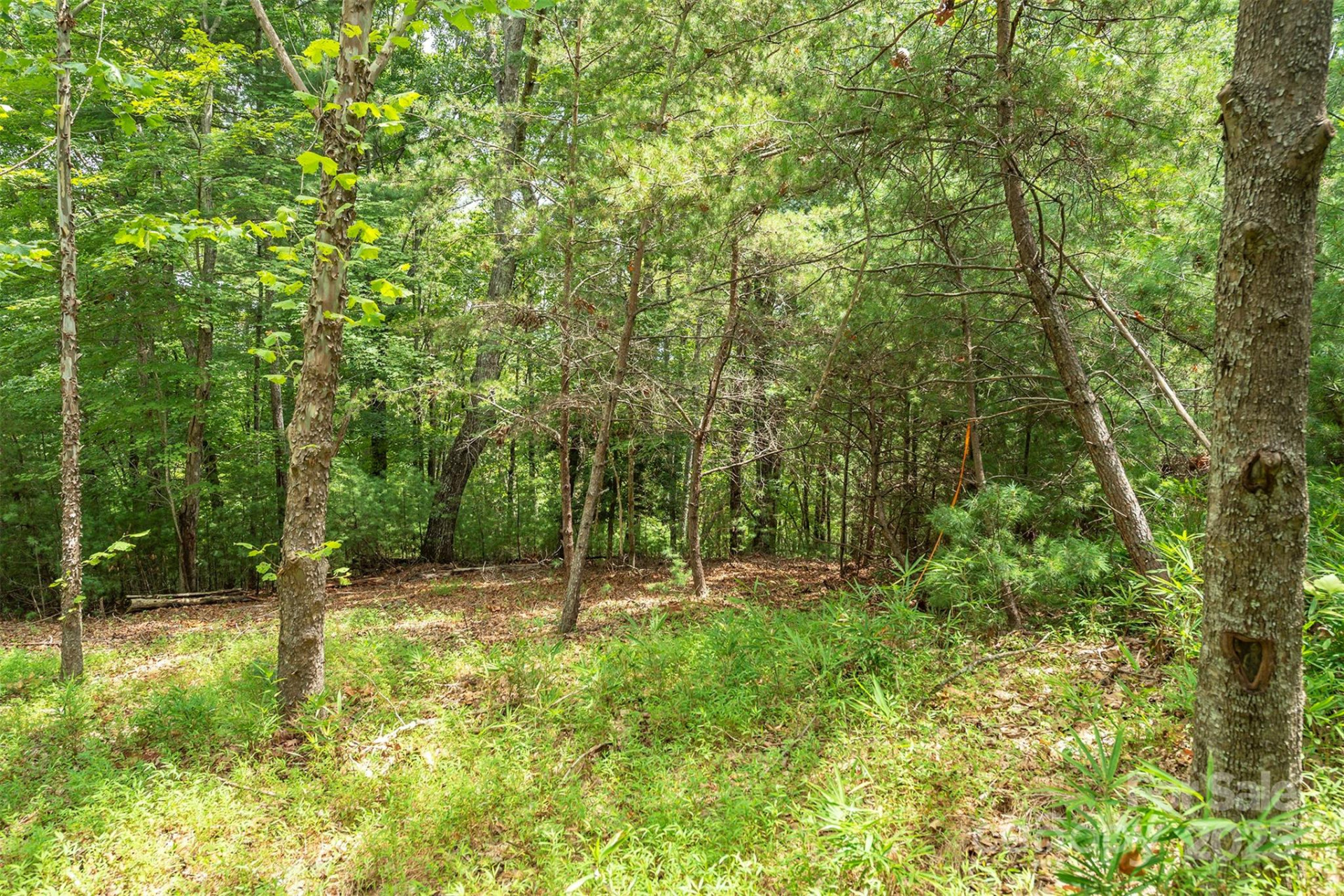 LOT 46 Black Forest Drive - Photo 8