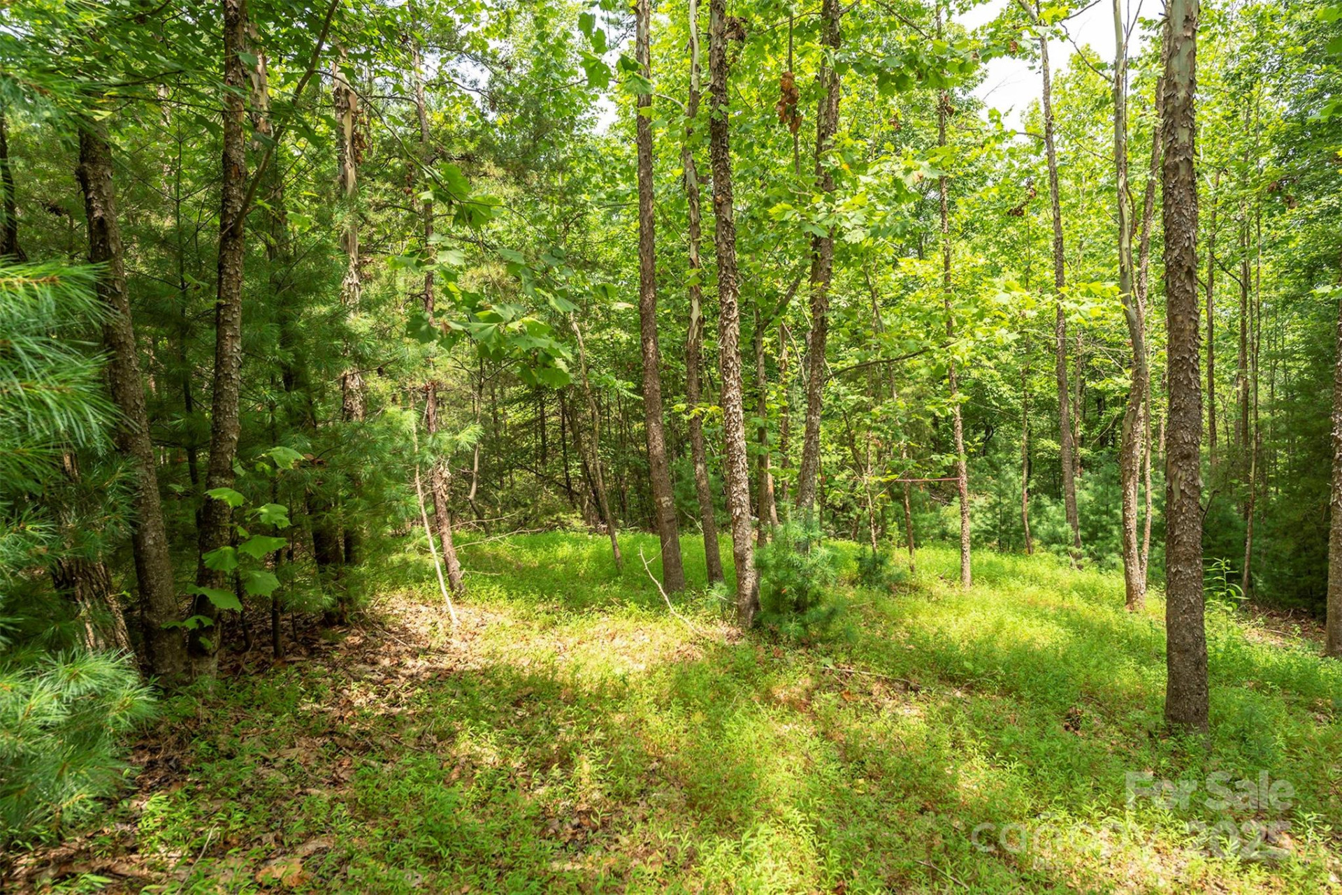 LOT 46 Black Forest Drive - Photo 9