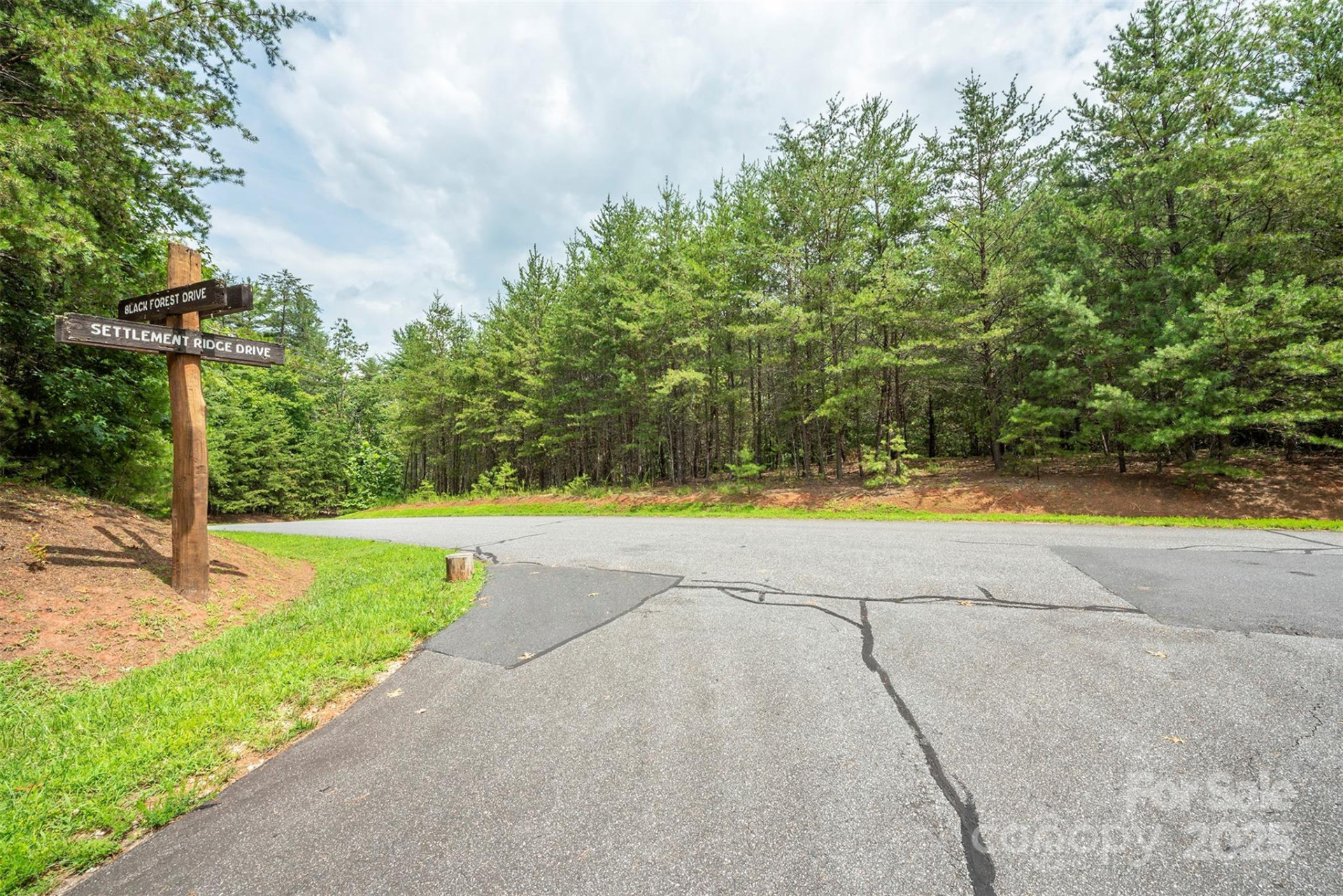 LOT 46 Black Forest Drive - Photo 10