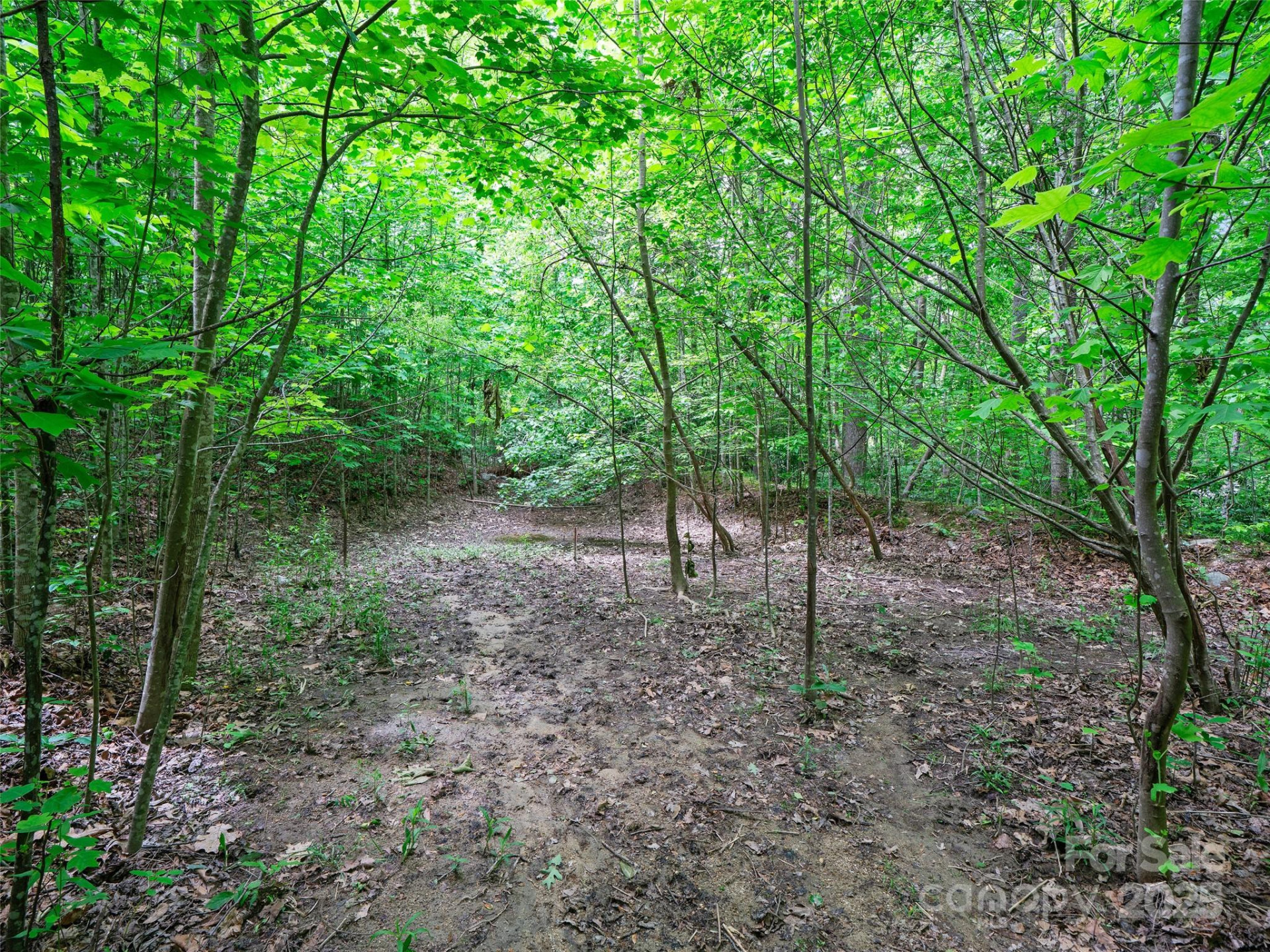 99999 Millbrae Loop - Photo 12