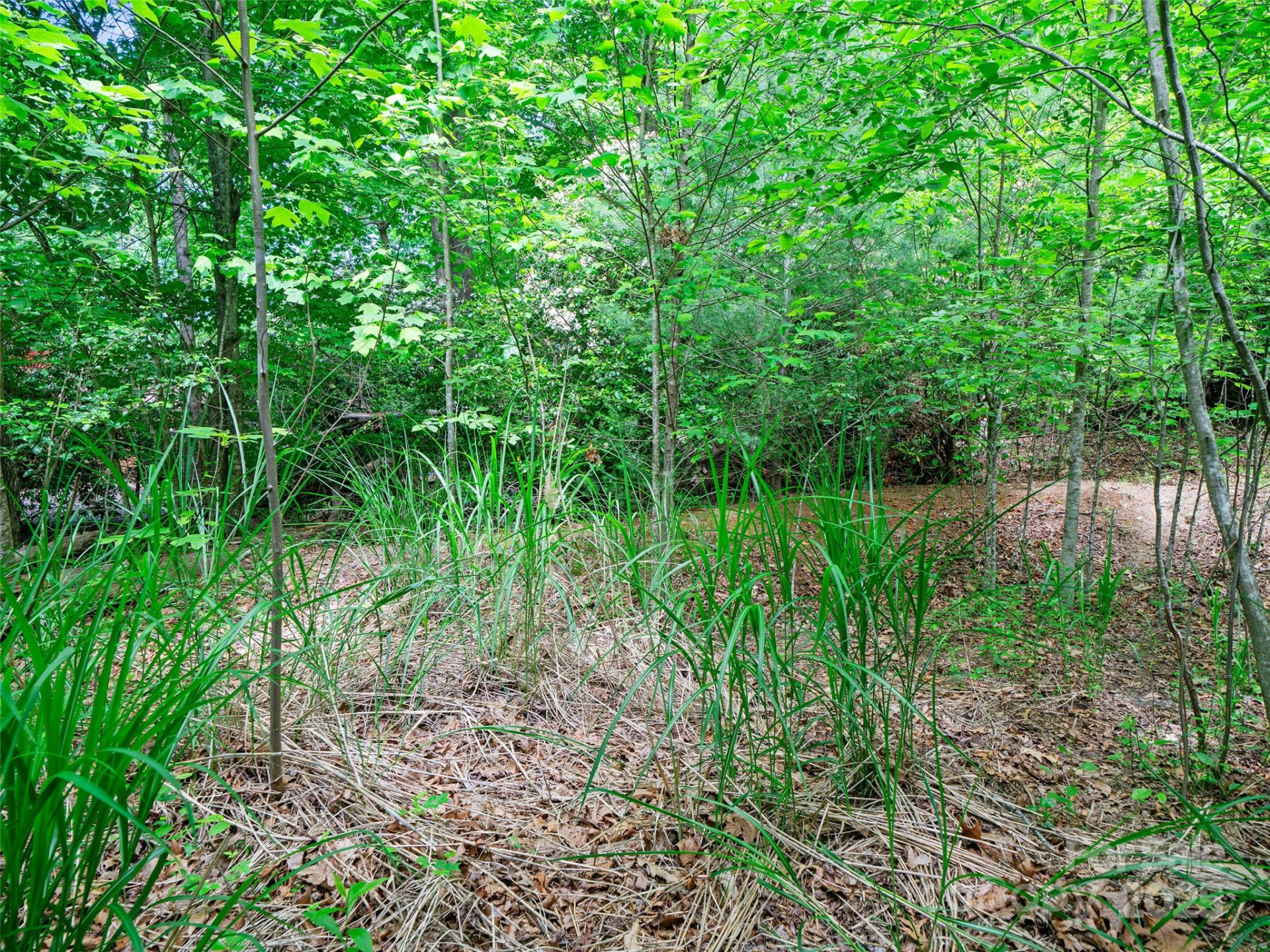 99999 Millbrae Loop - Photo 13