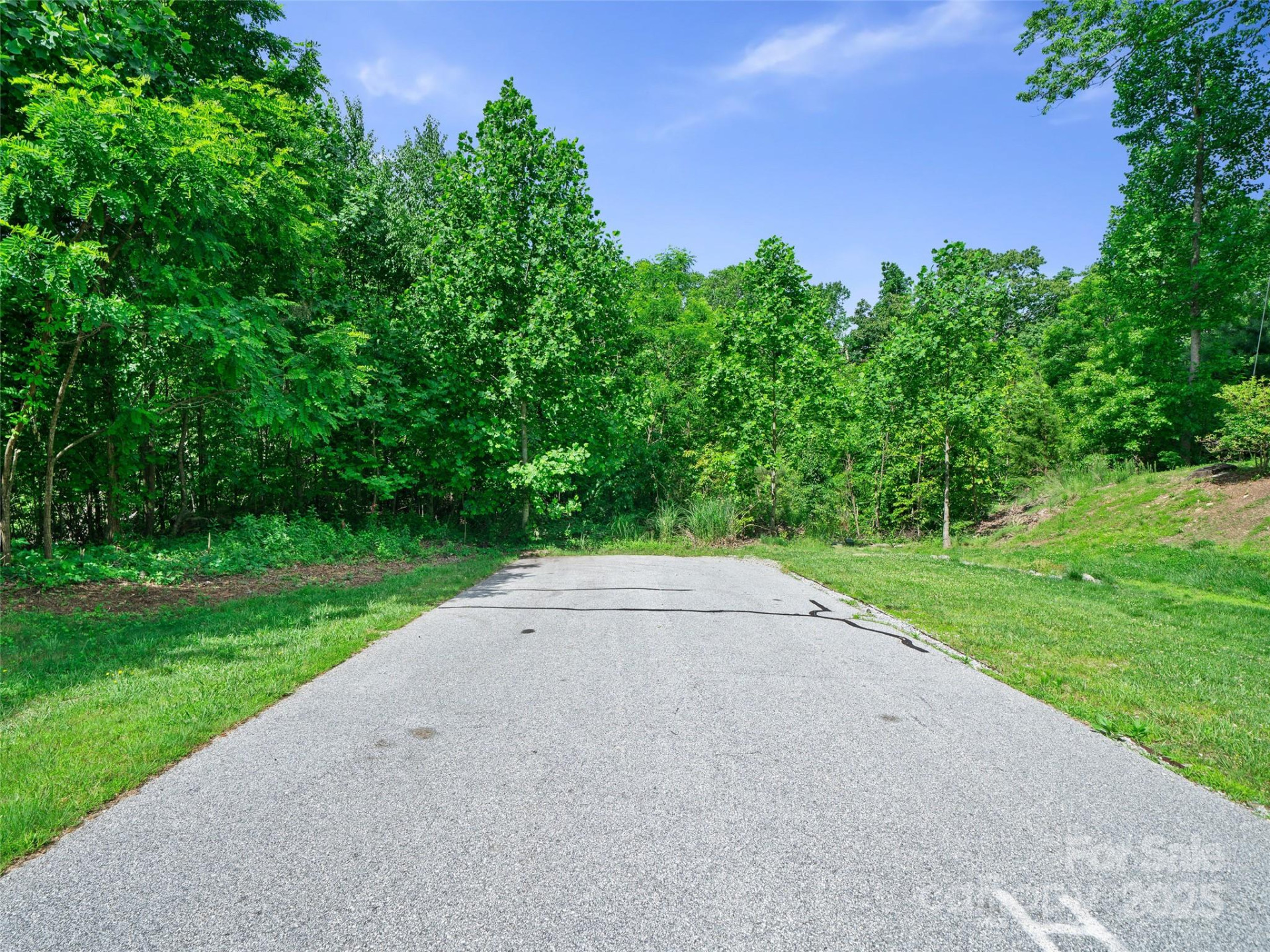 99999 Millbrae Loop - Photo 4