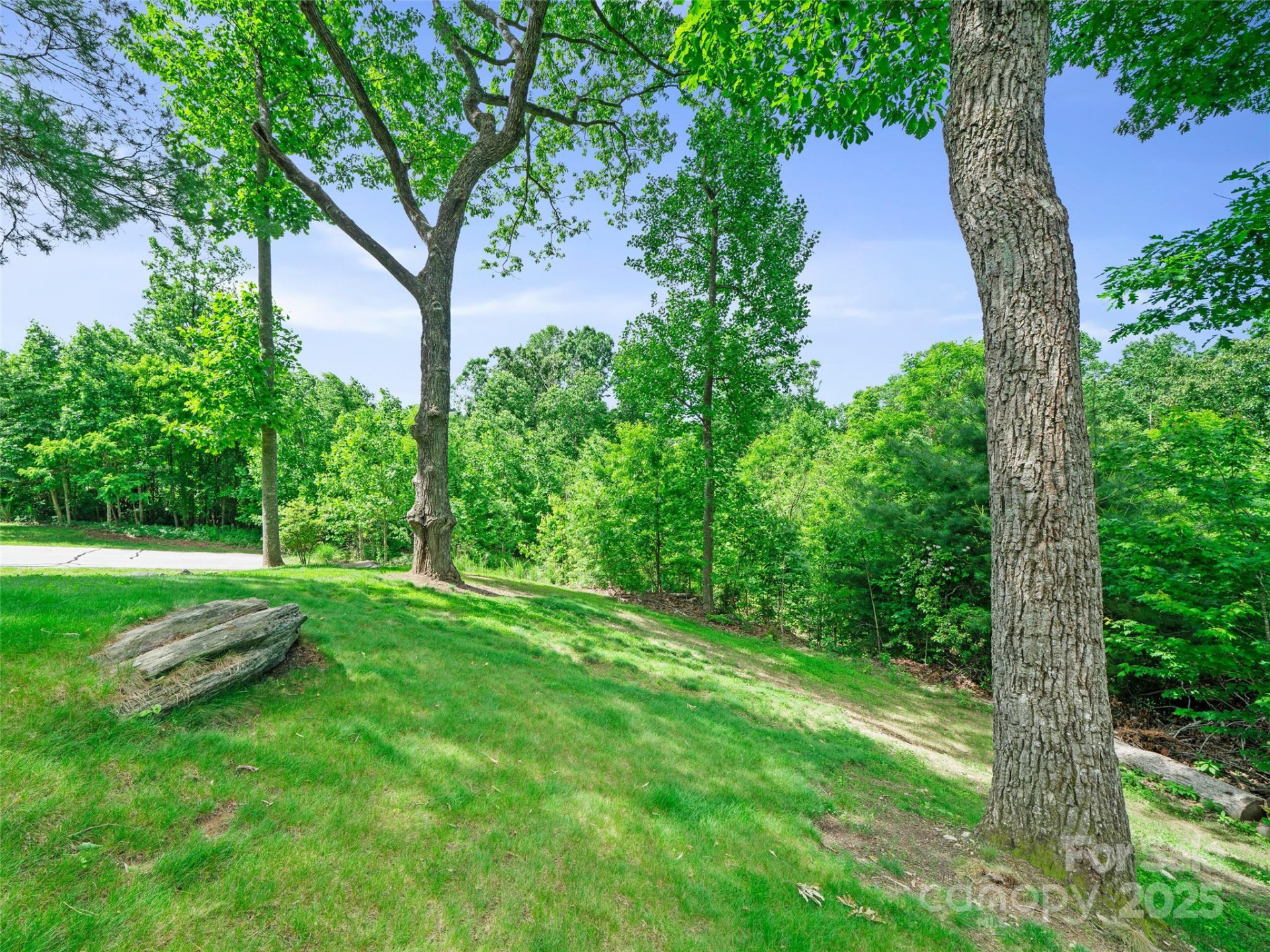 99999 Millbrae Loop - Photo 5