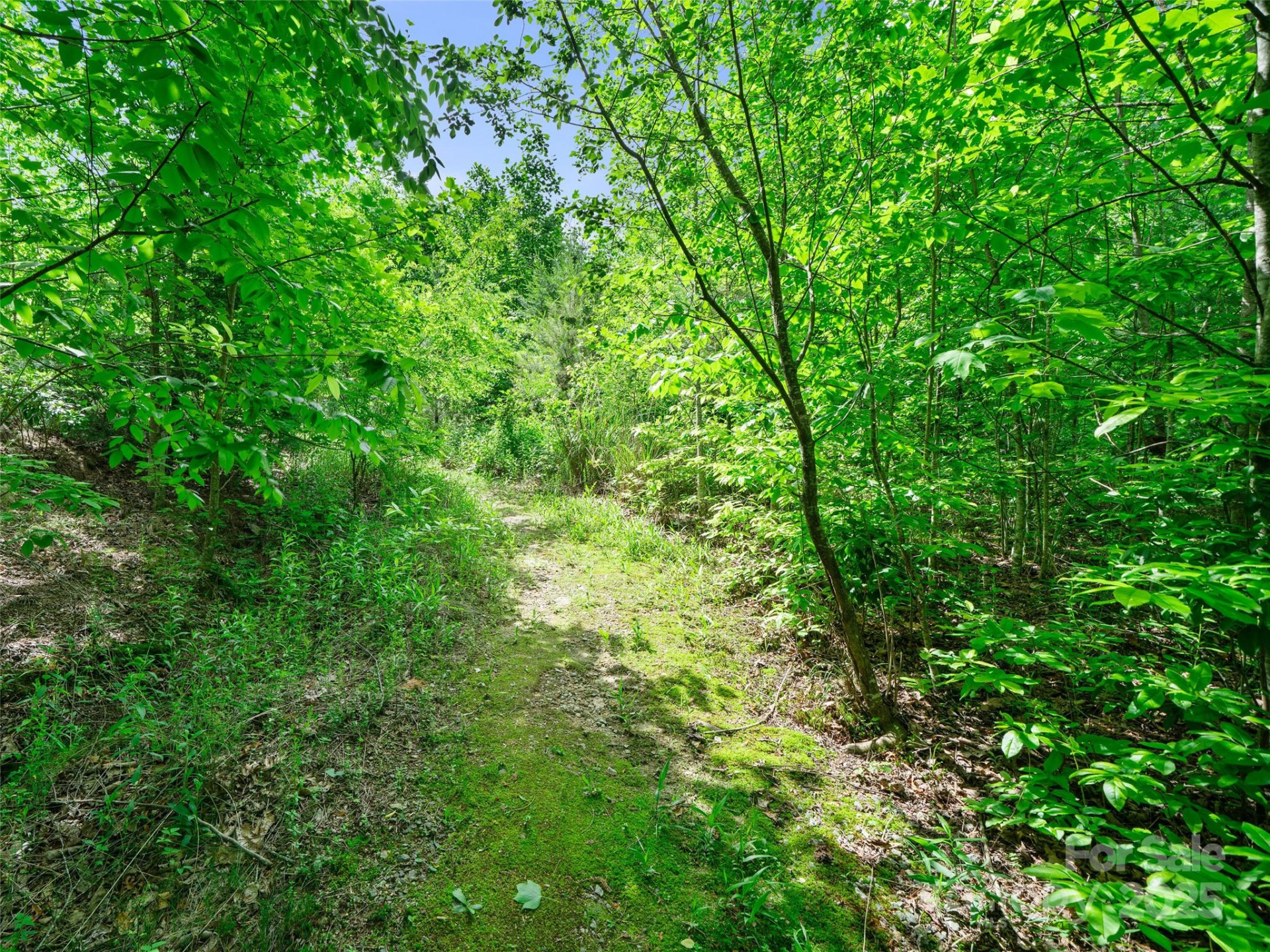 99999 Millbrae Loop - Photo 10