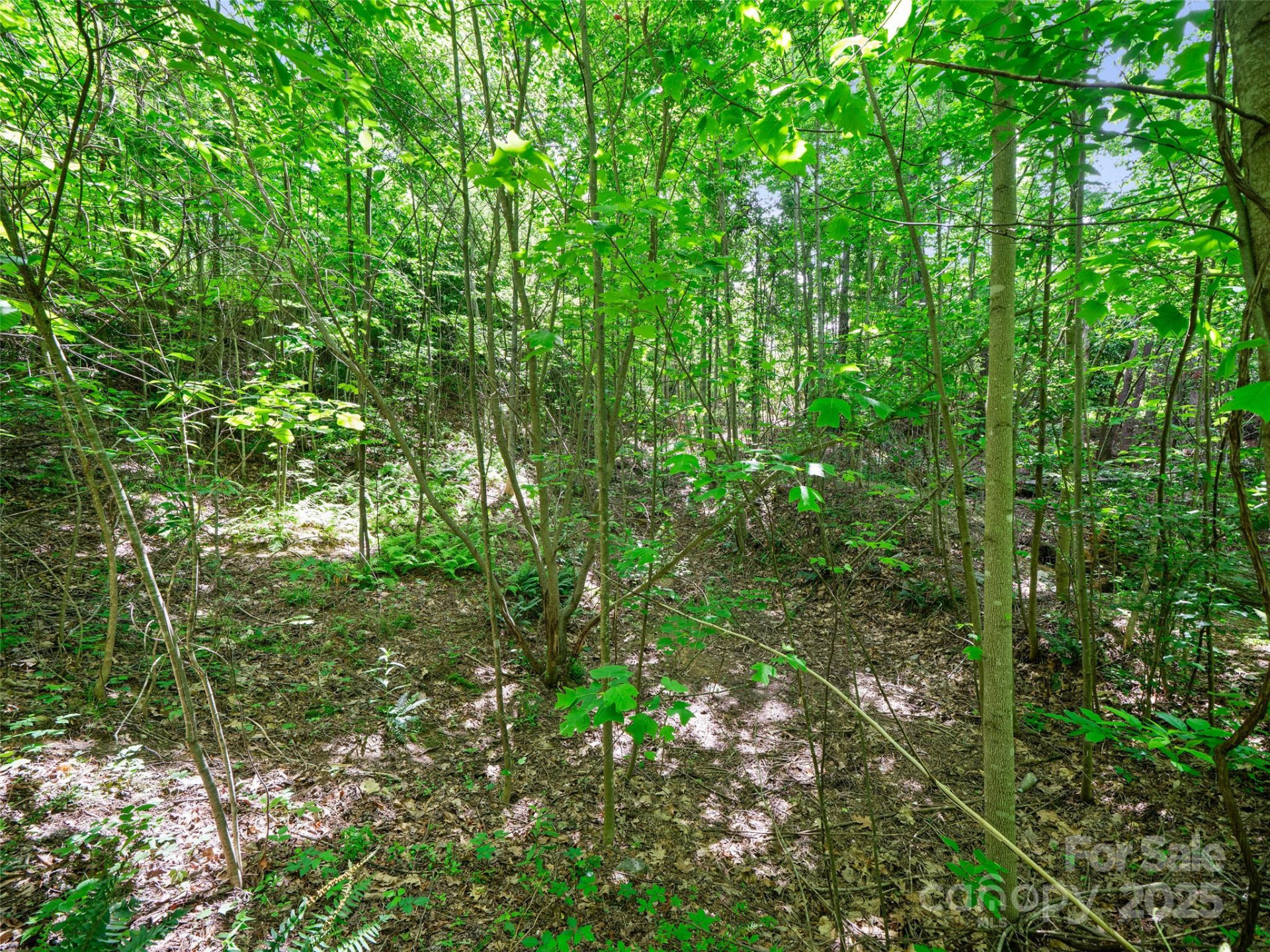 99999 Millbrae Loop - Photo 6