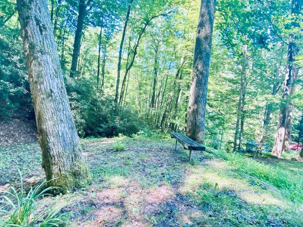 100 Crosspatch Drive - Photo 36
