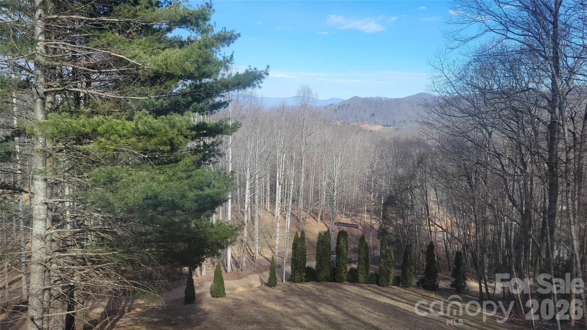 60 Persimmons Lane - Photo 2