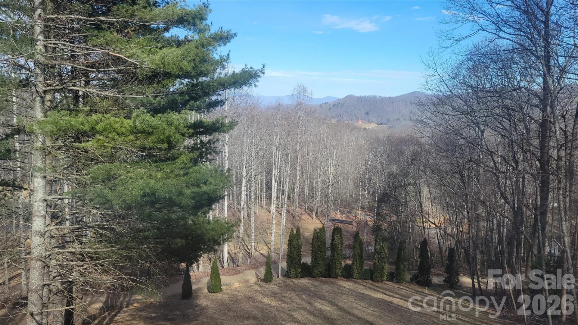 60 Persimmons Lane - Photo 2