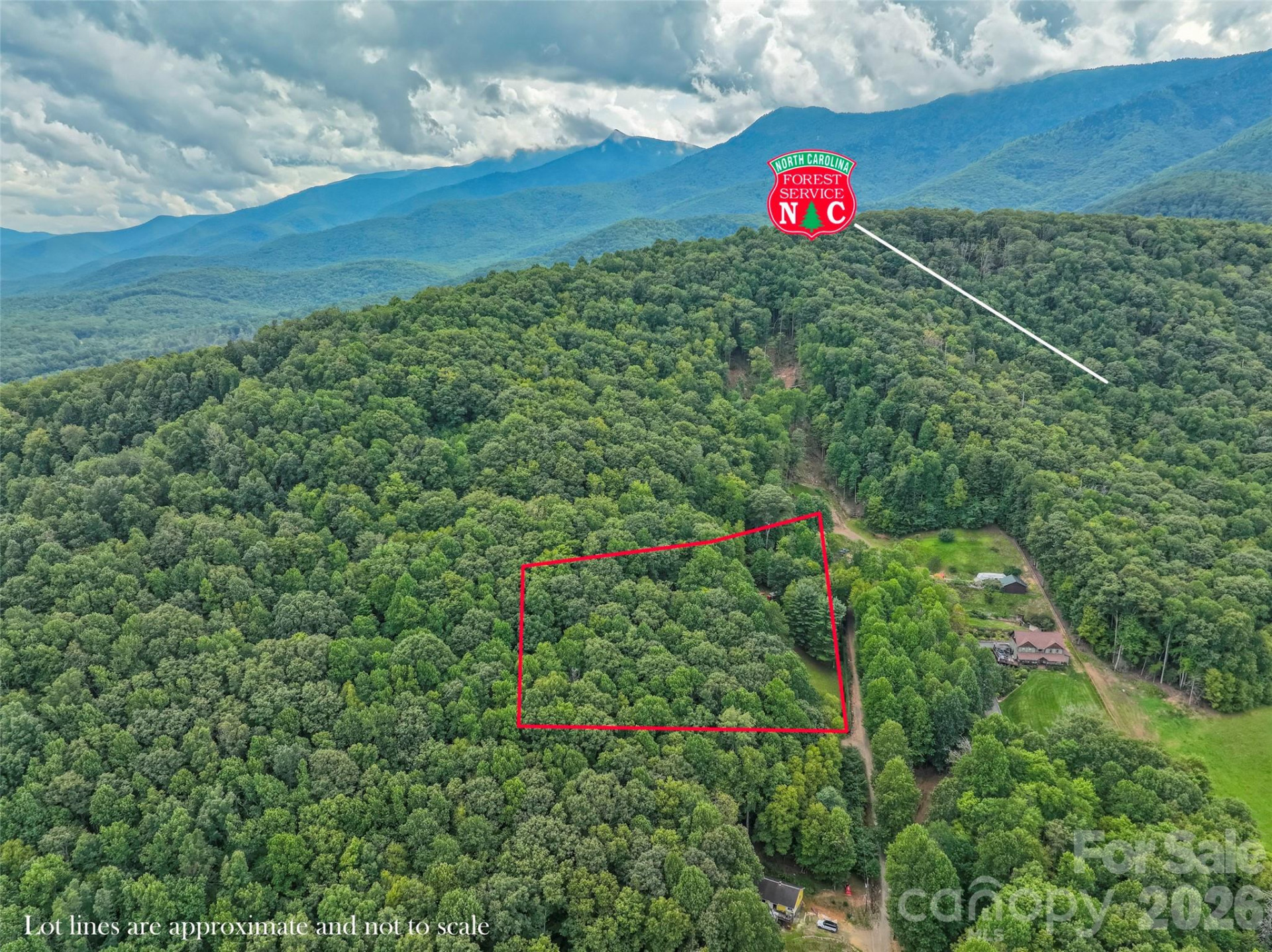 60 Persimmons Lane - Photo 29