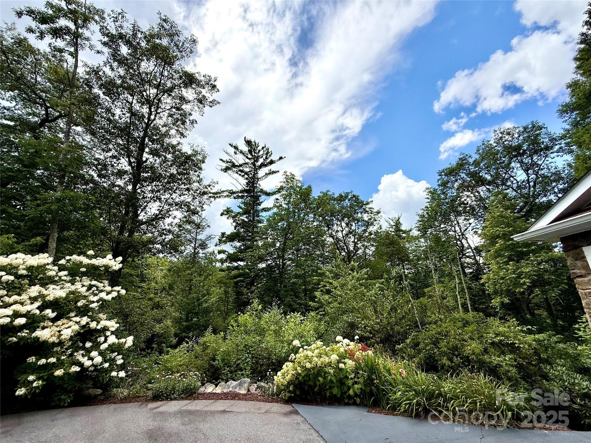 7230 Hideaway Lane - Photo 4