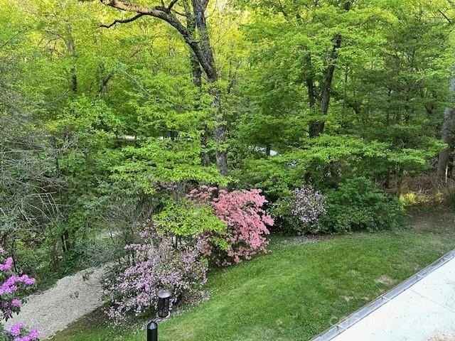 167 Simmons Ridge Road - Photo 29