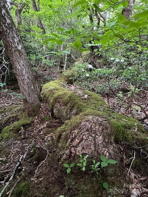 167 Simmons Ridge Road - Photo 30