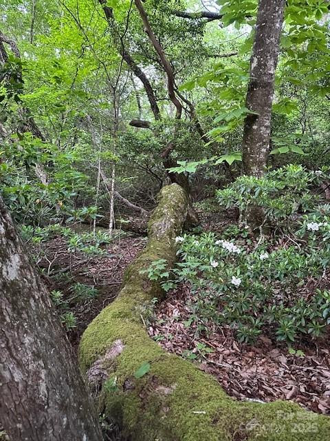 167 Simmons Ridge Road - Photo 31