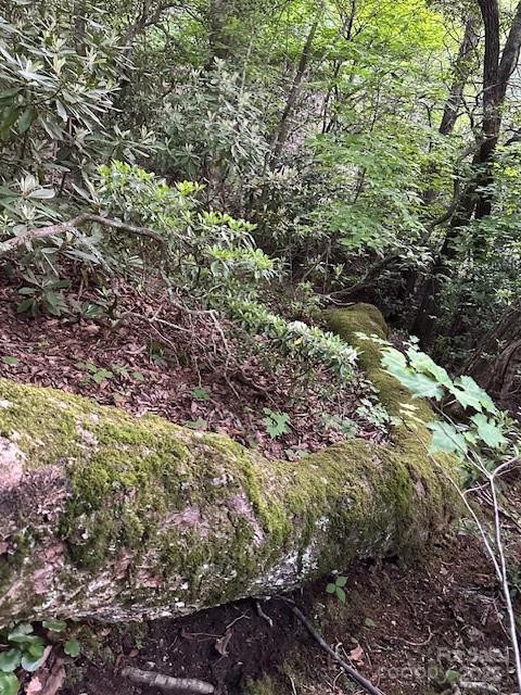 167 Simmons Ridge Road - Photo 32