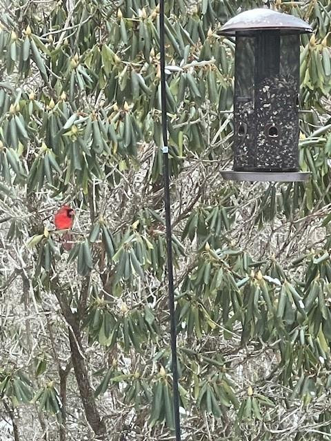 167 Simmons Ridge Road - Photo 33